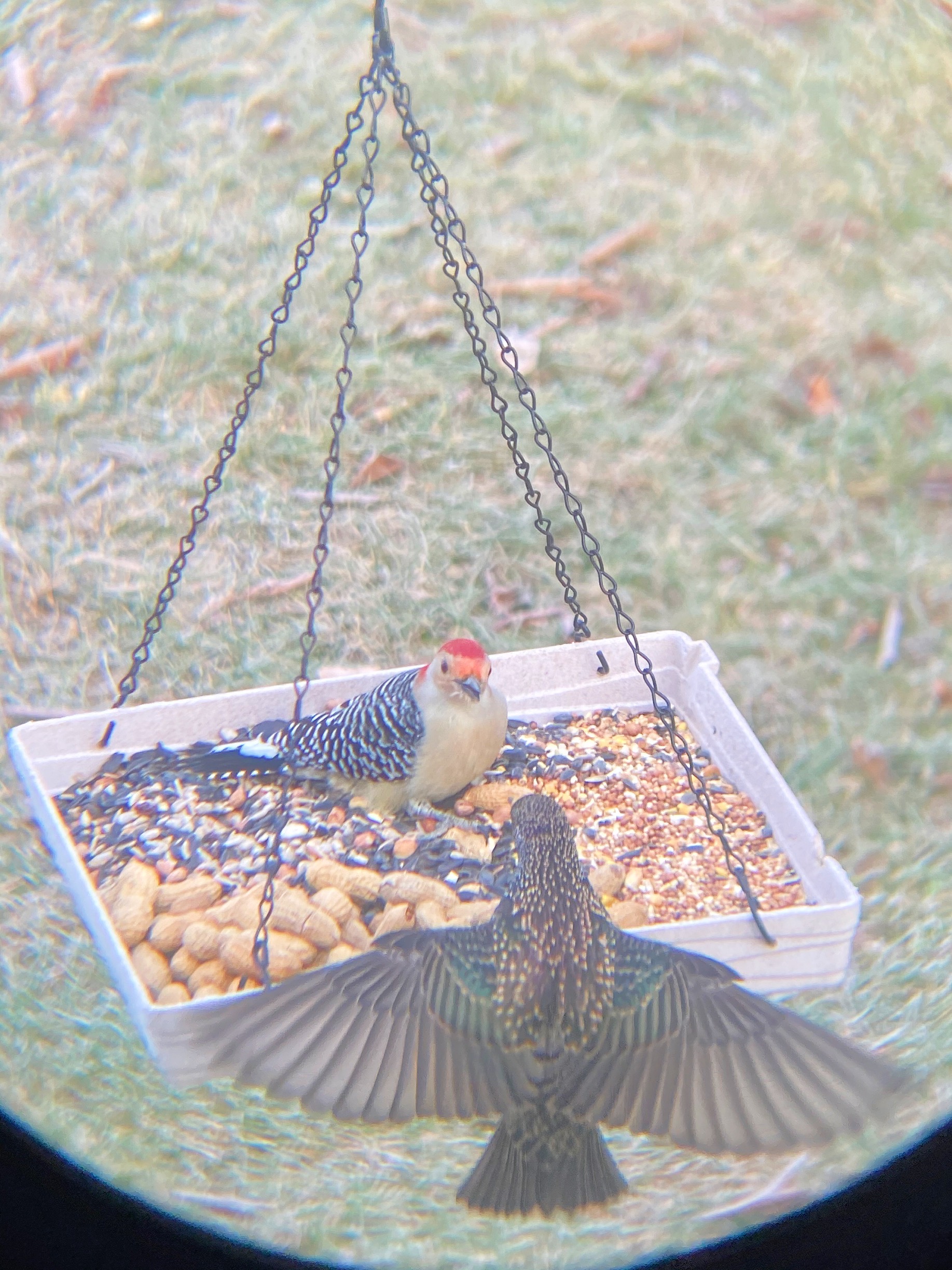 Additional Image 2