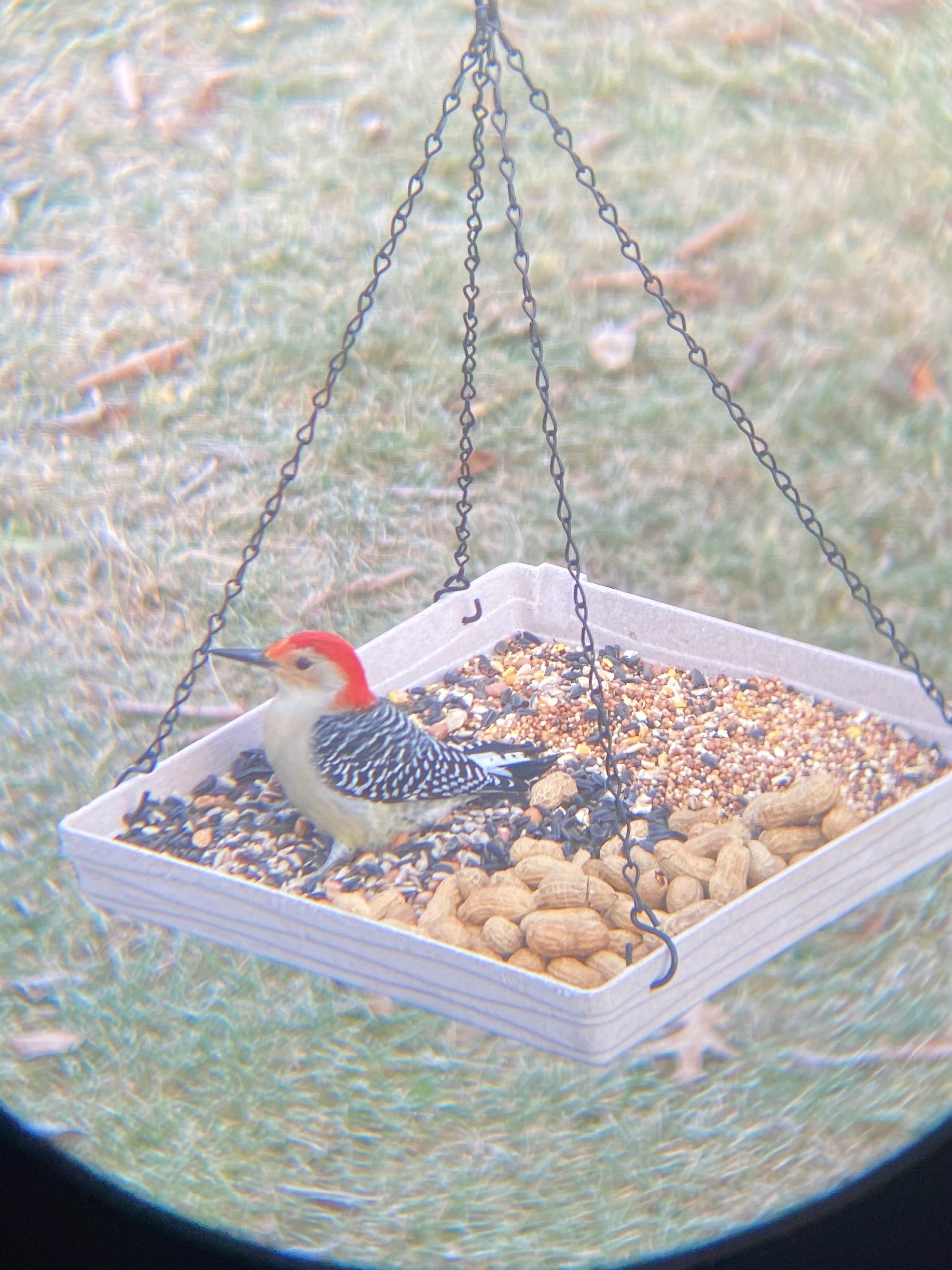 Additional Image 3