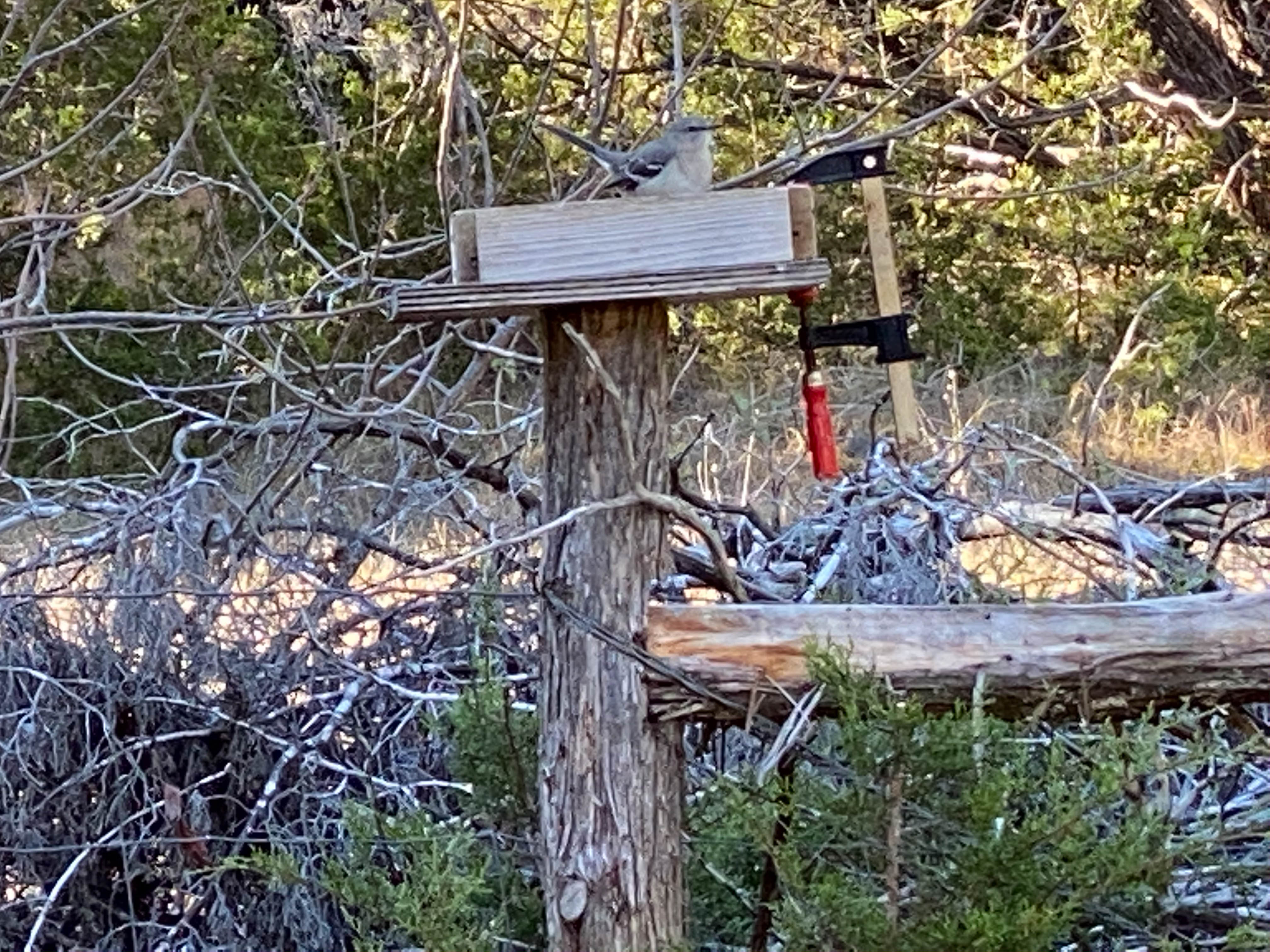 Additional Image 3