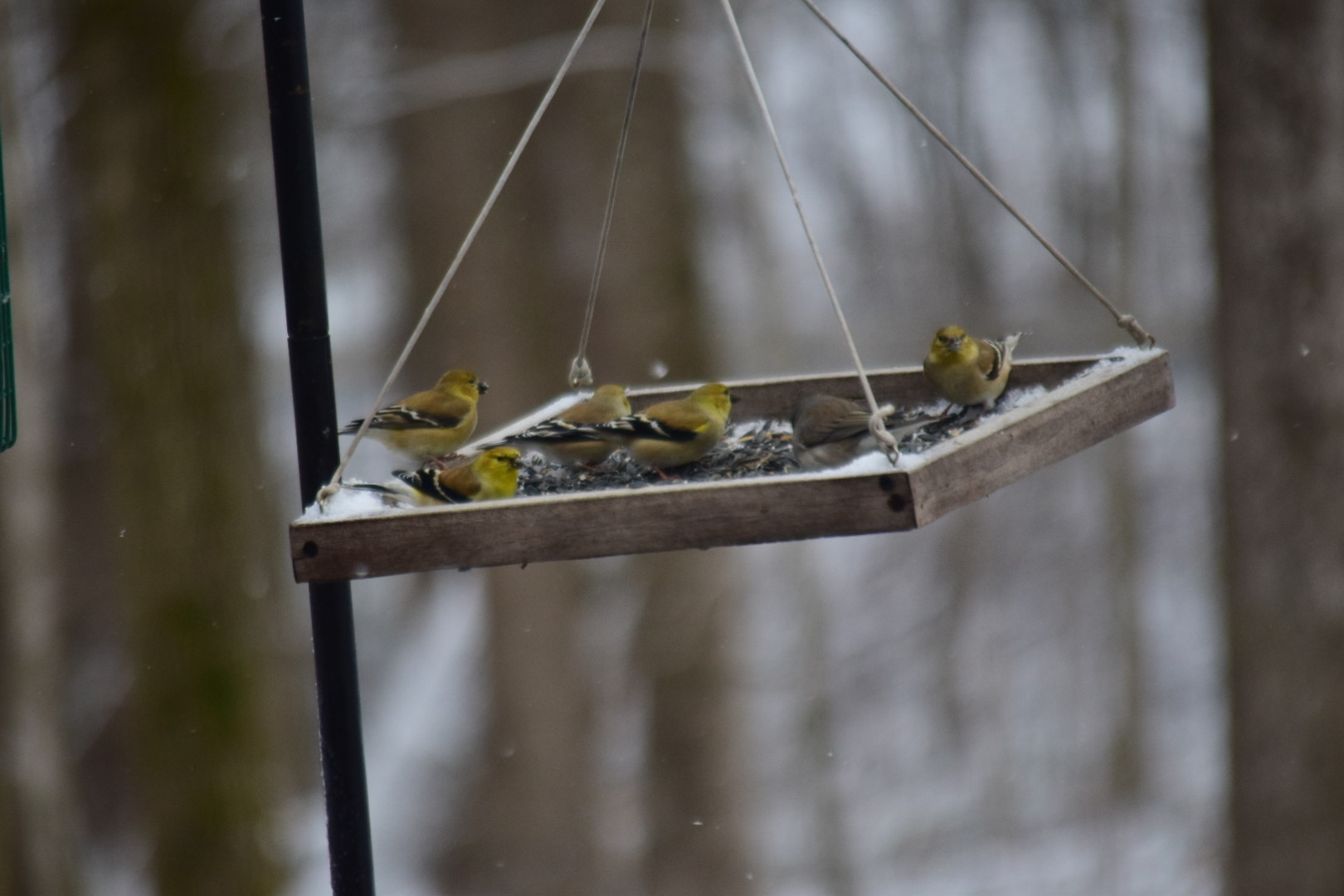 Additional Image 5