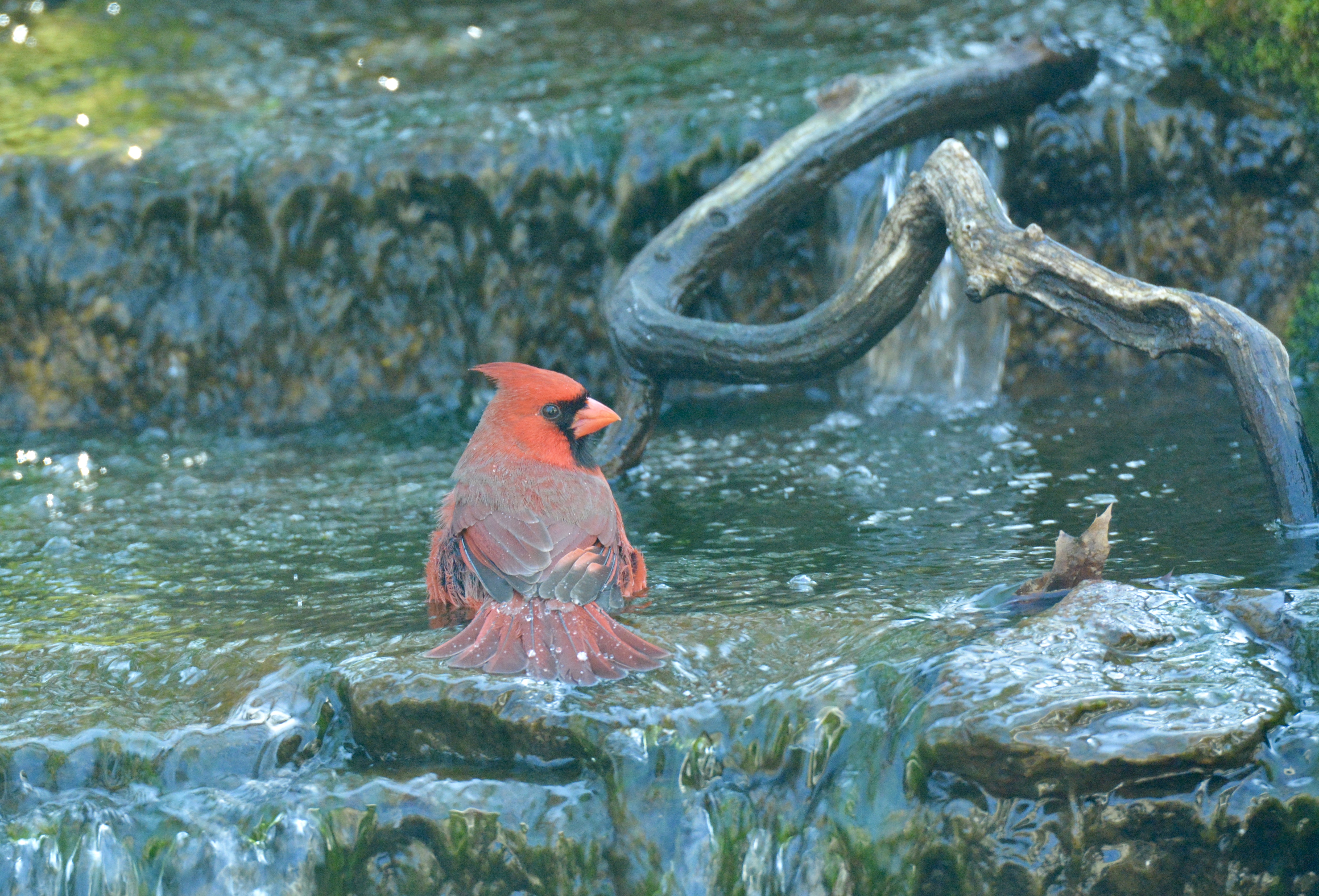 Additional Image 3