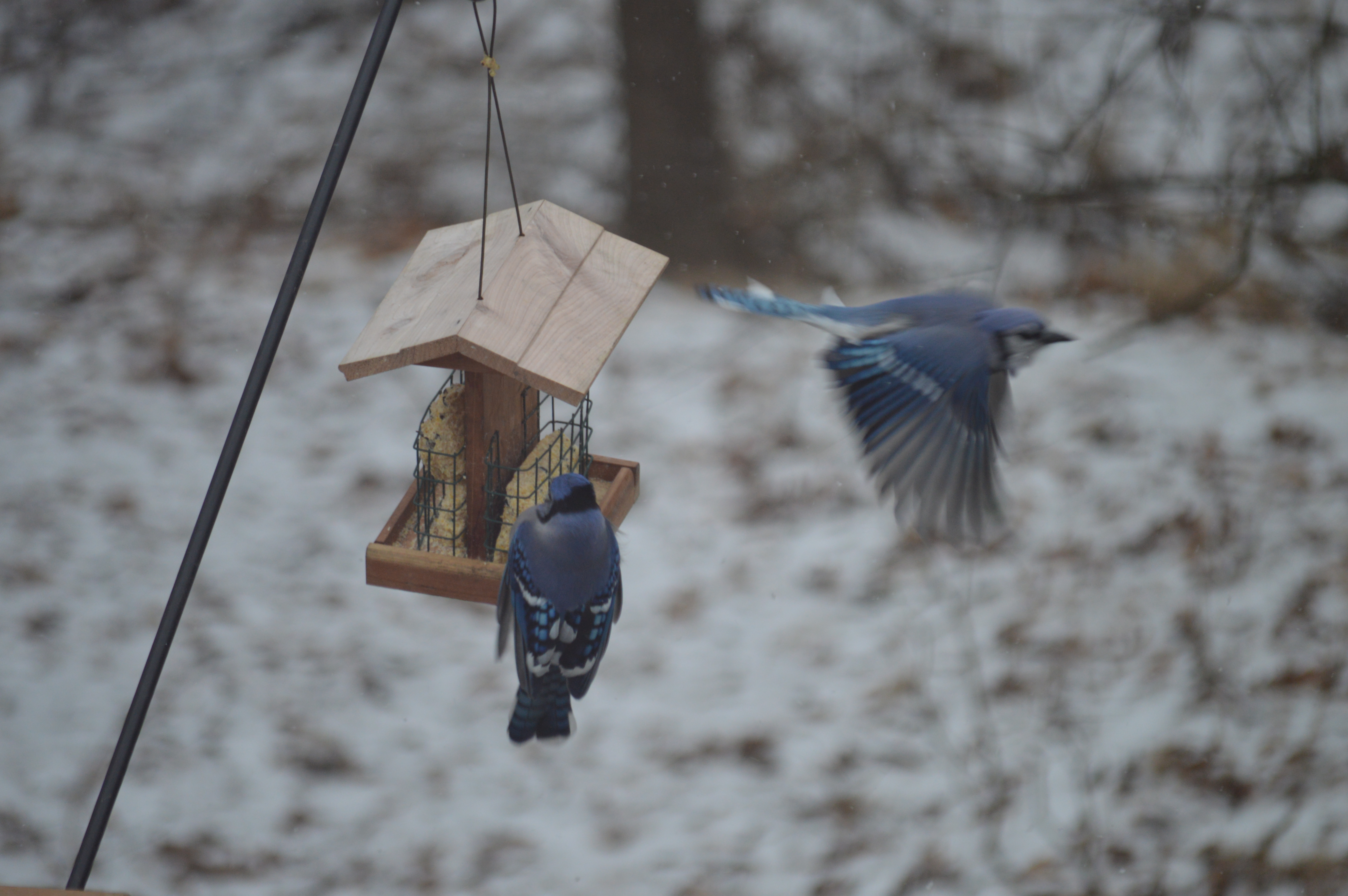 Additional Image 2
