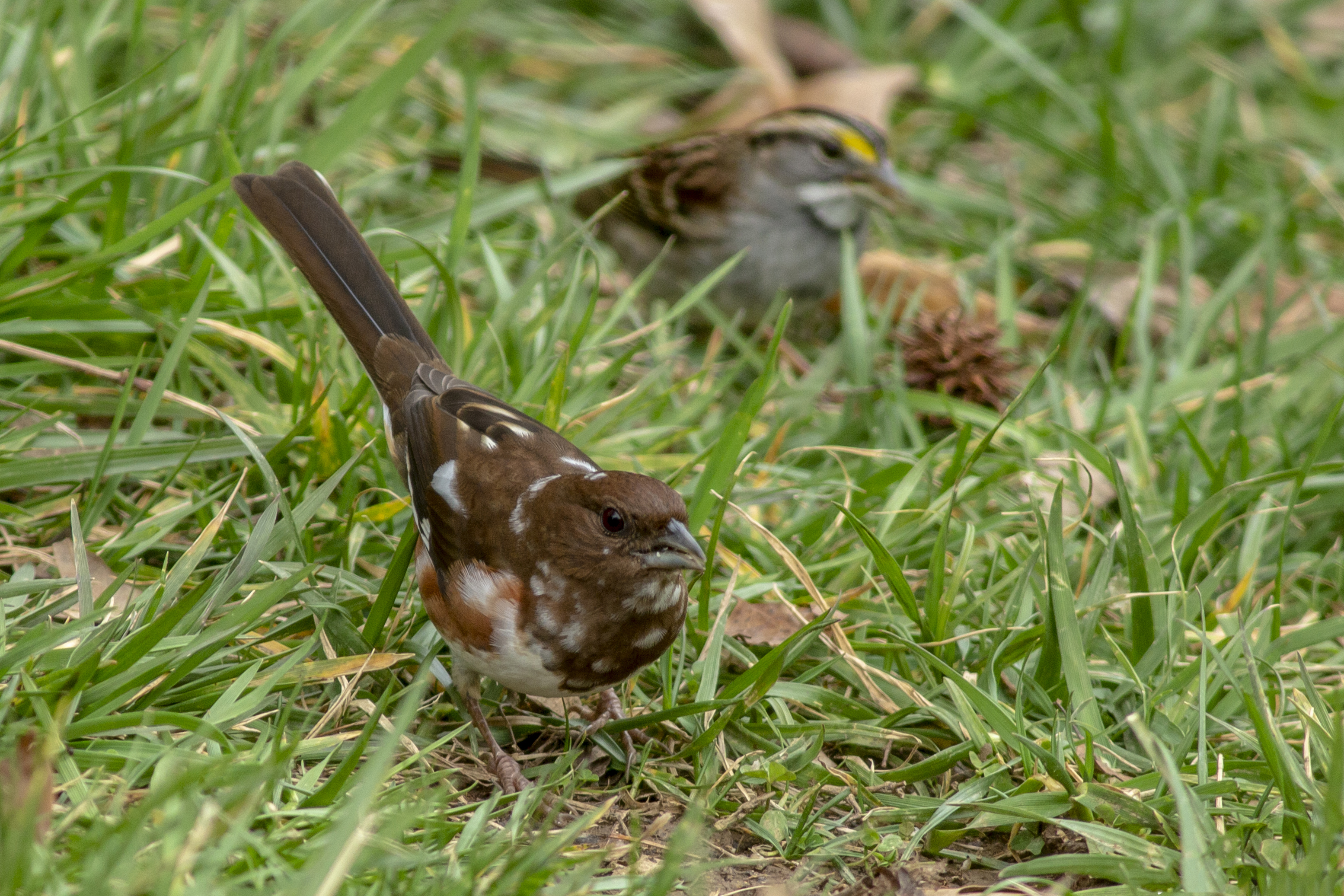 Additional Image 3