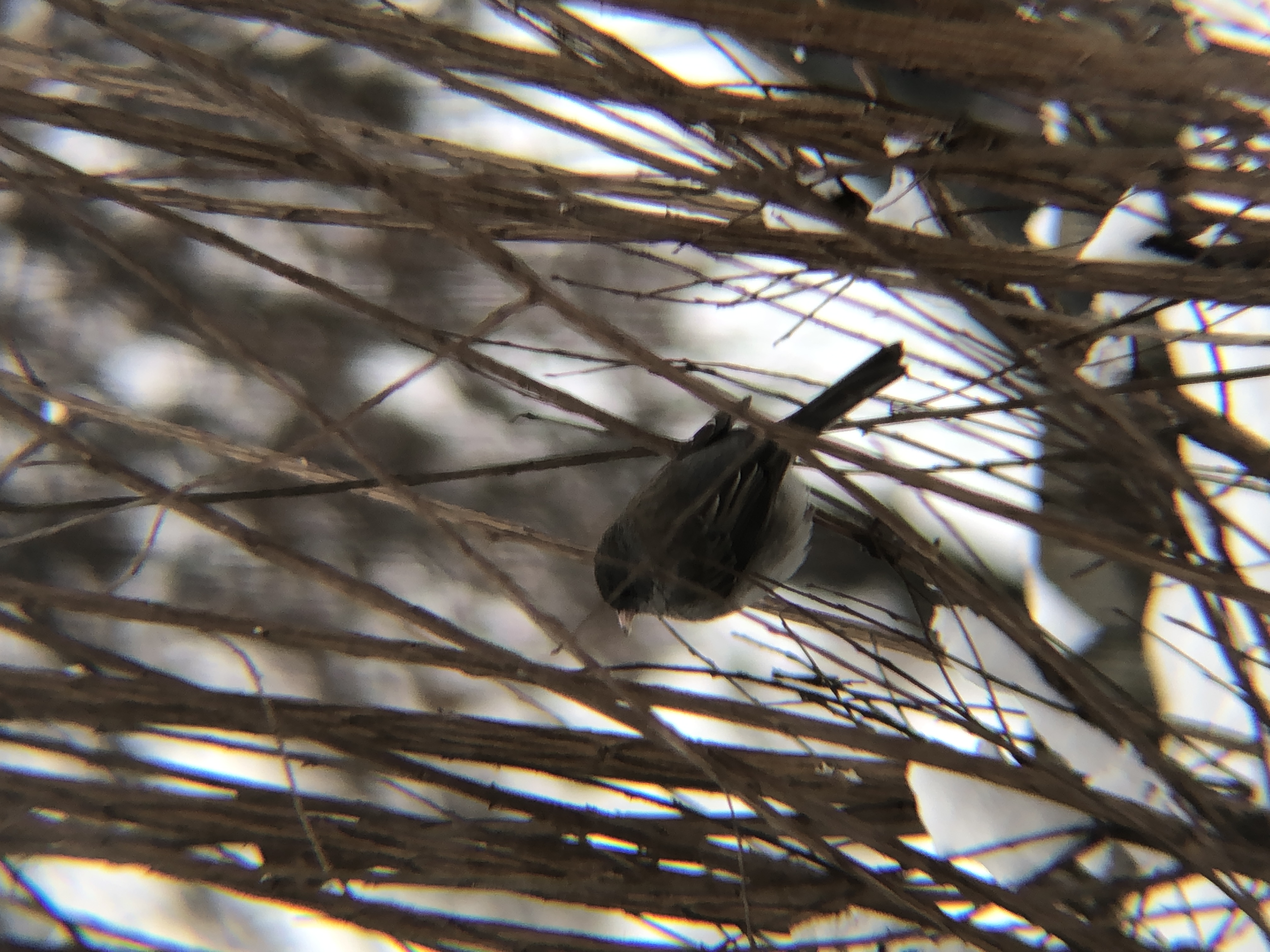 Additional Image 3