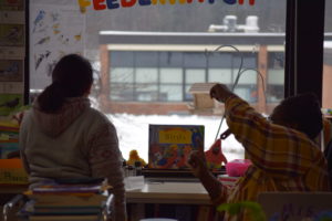 students observing birds out a window
