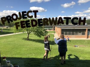 Students setting up feeders