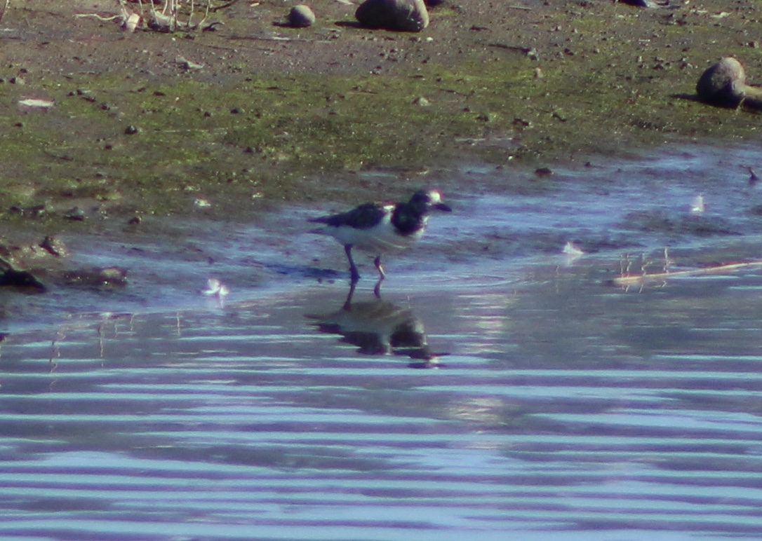 Additional Image 2