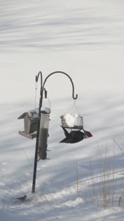 Additional Image 2