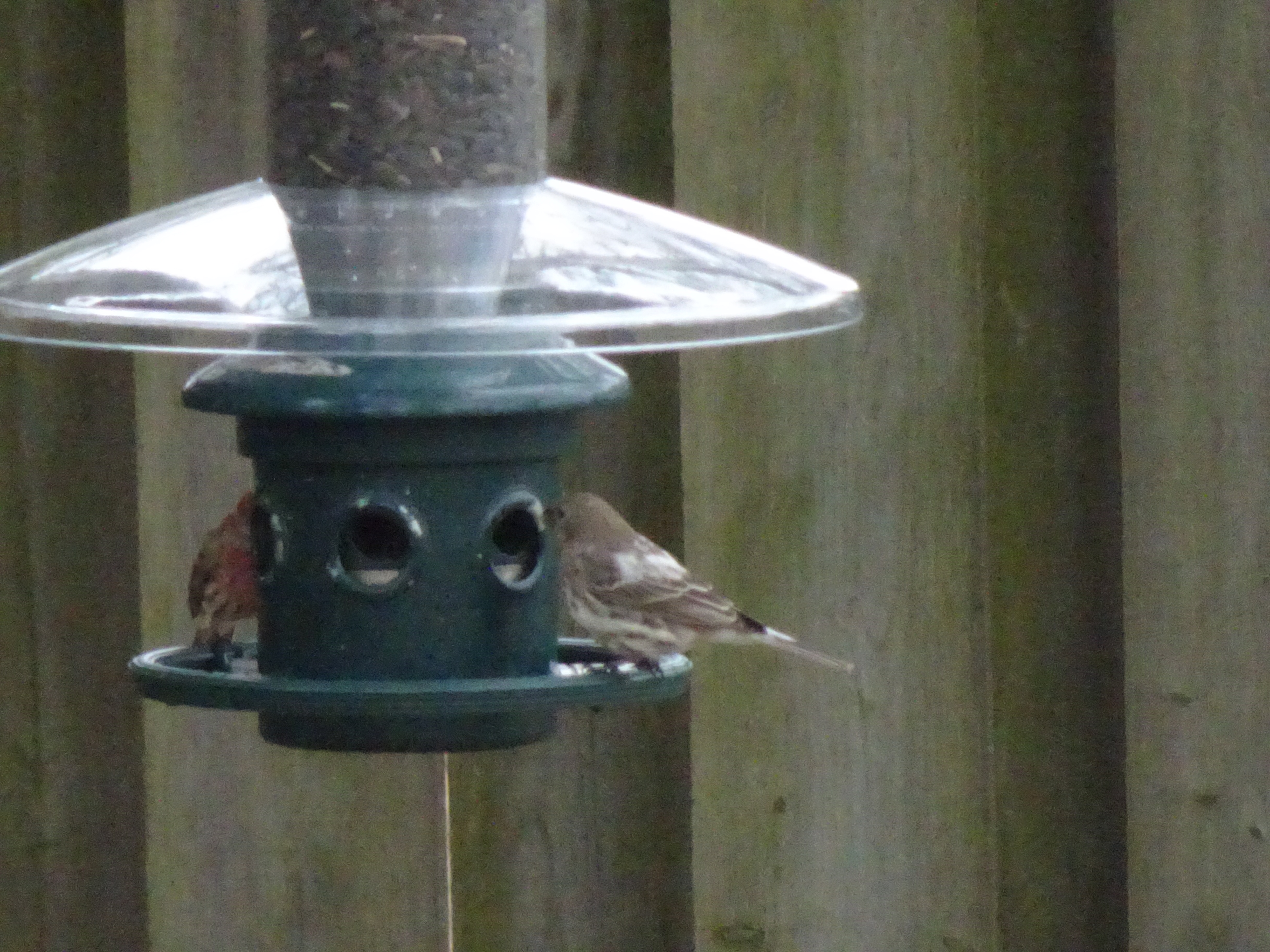 Additional Image 3