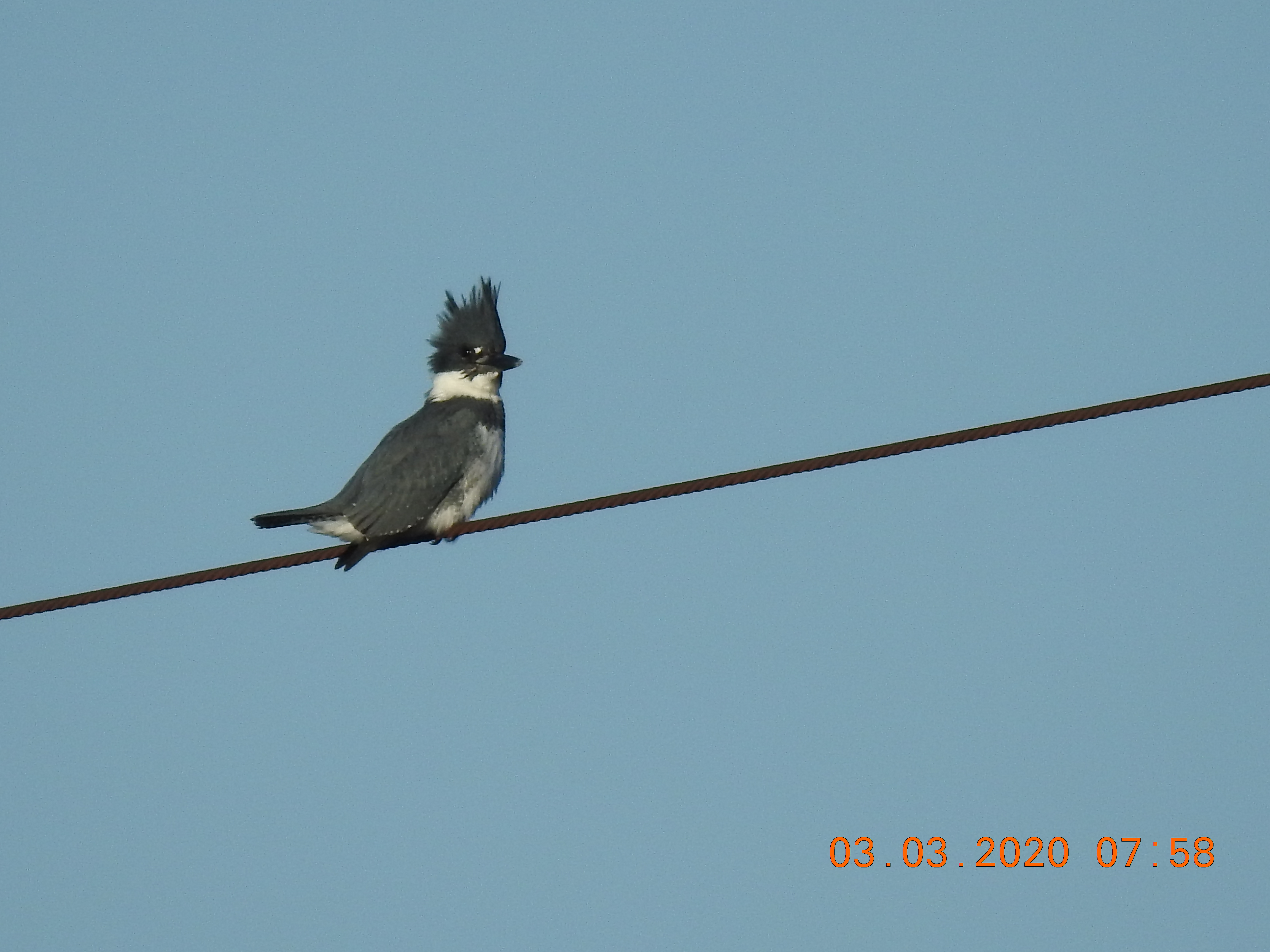 Additional Image 2
