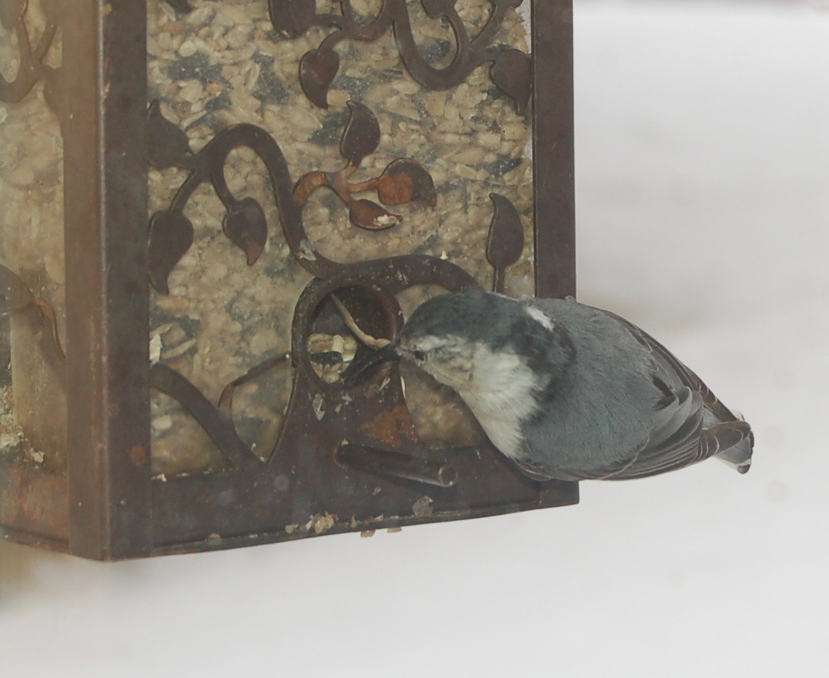 Additional Image 3