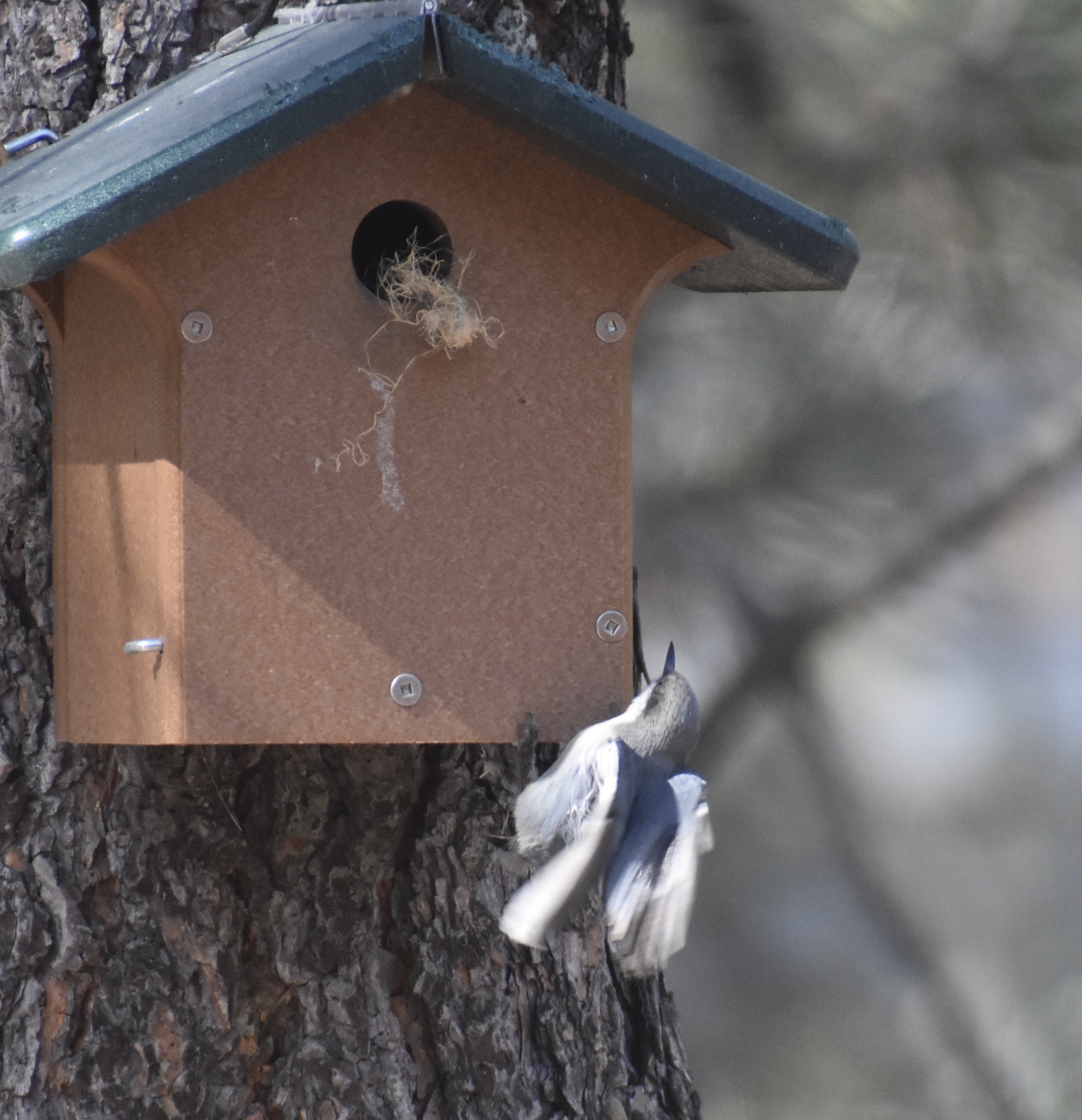 Additional Image 2