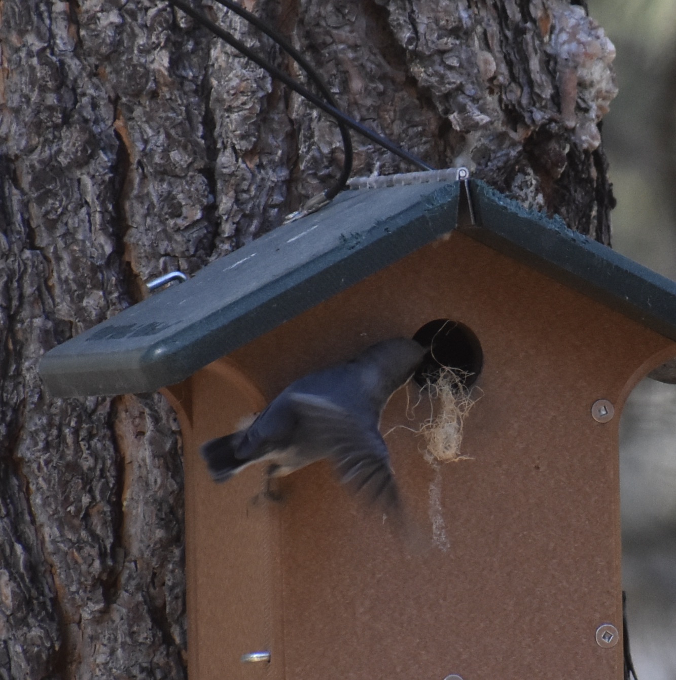 Additional Image 2