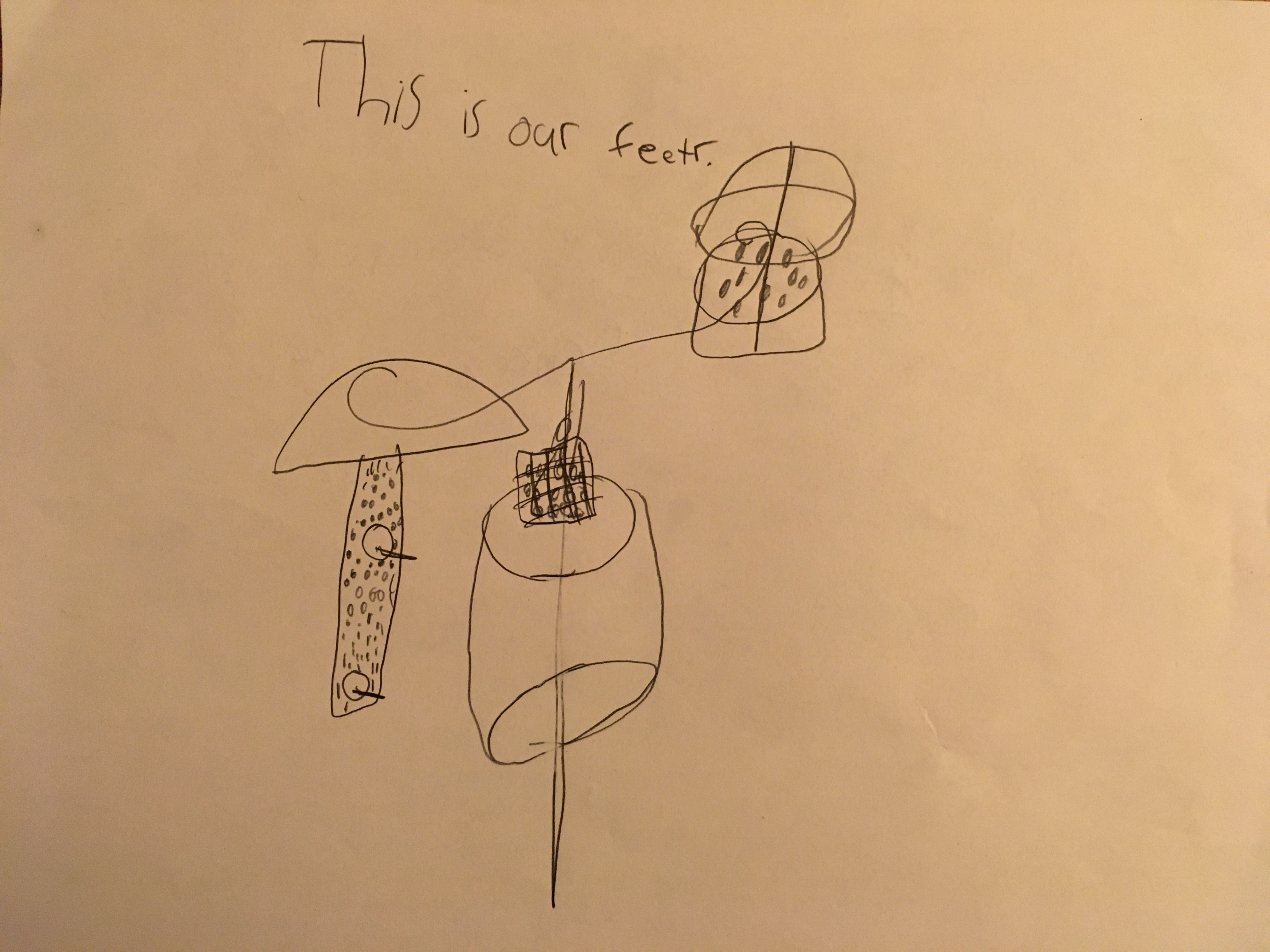 Additional Image 3