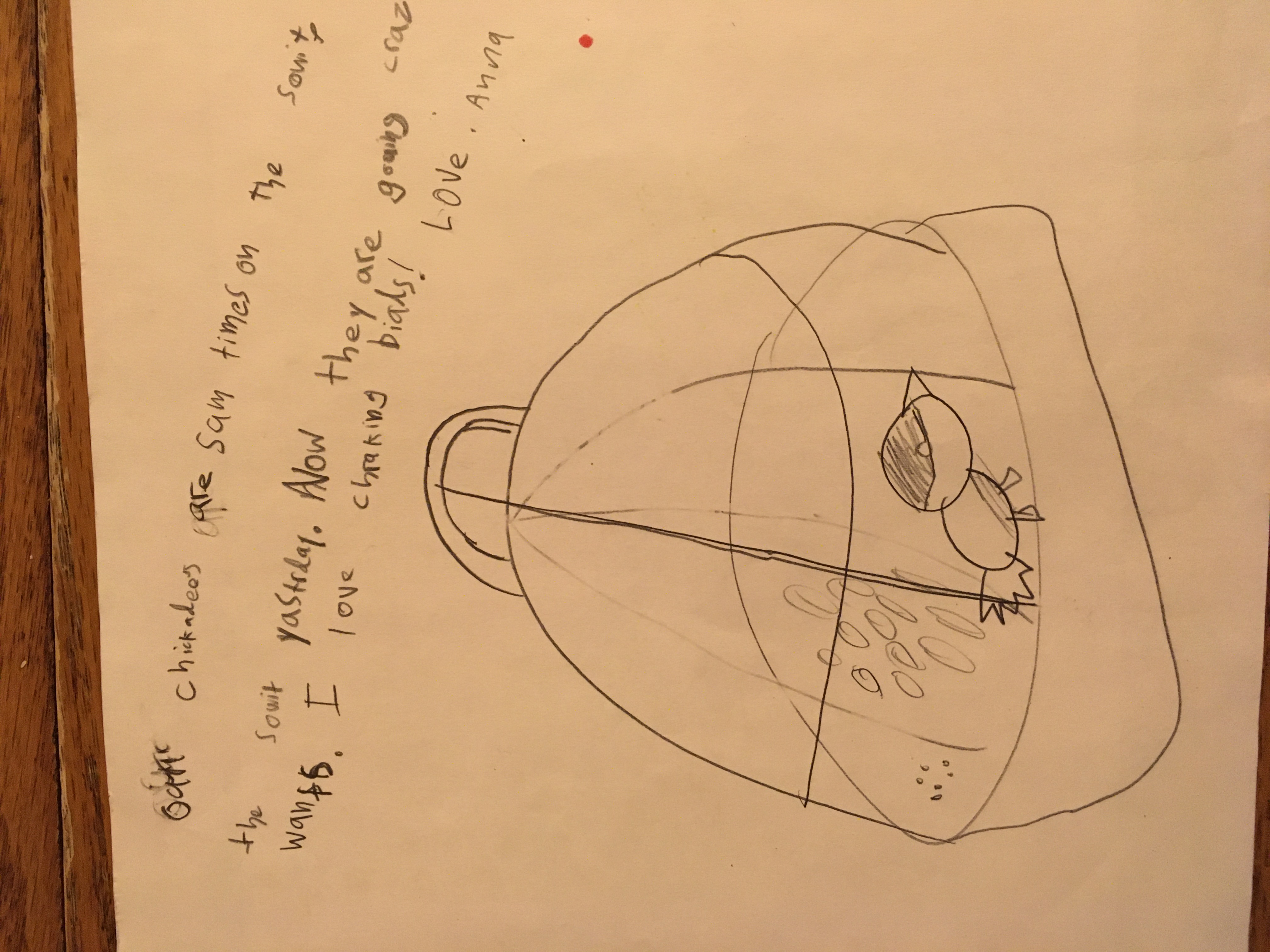 Additional Image 2