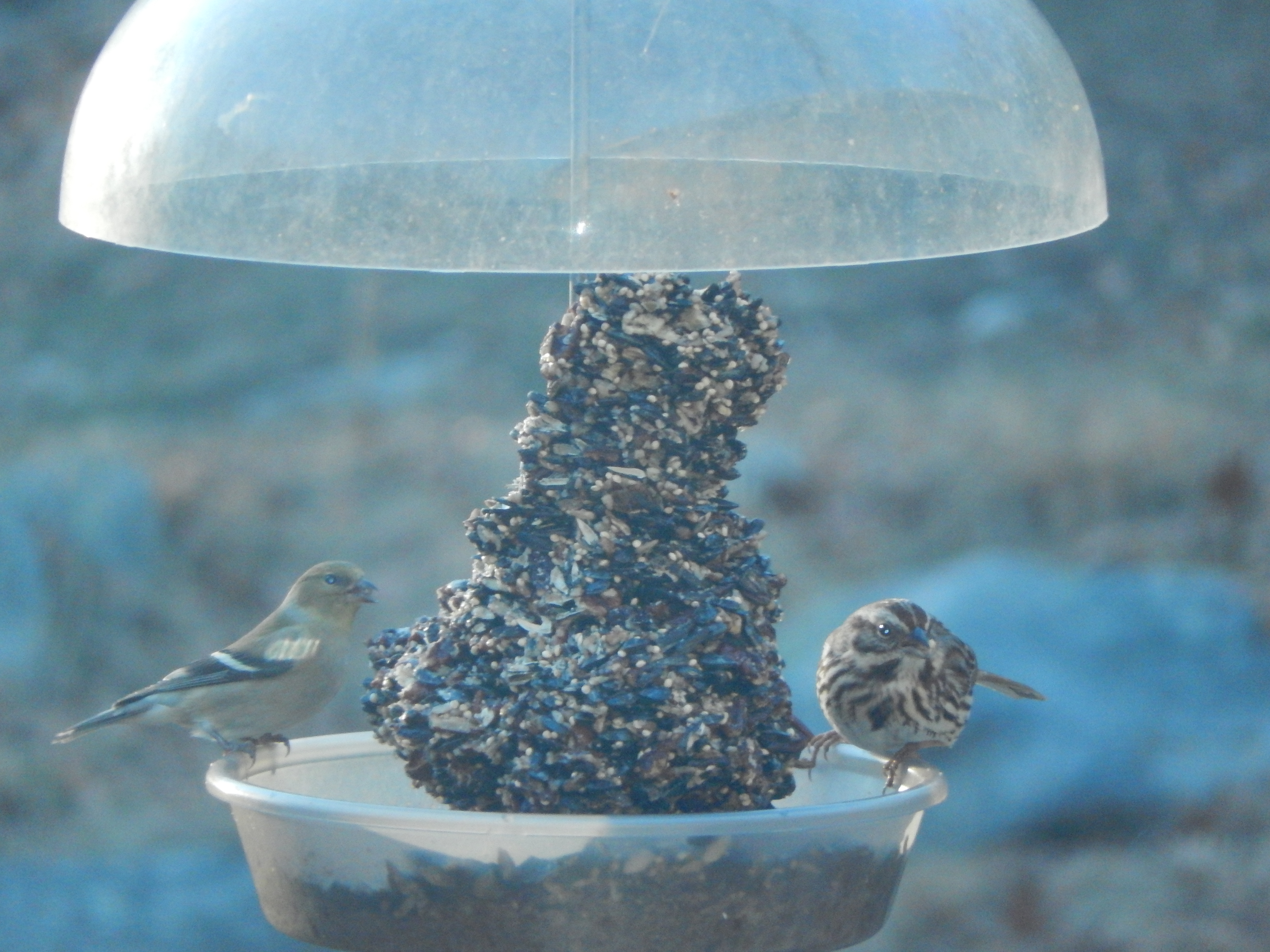 Additional Image 2