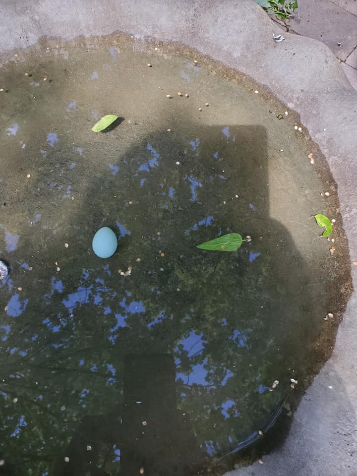 Additional Image 2