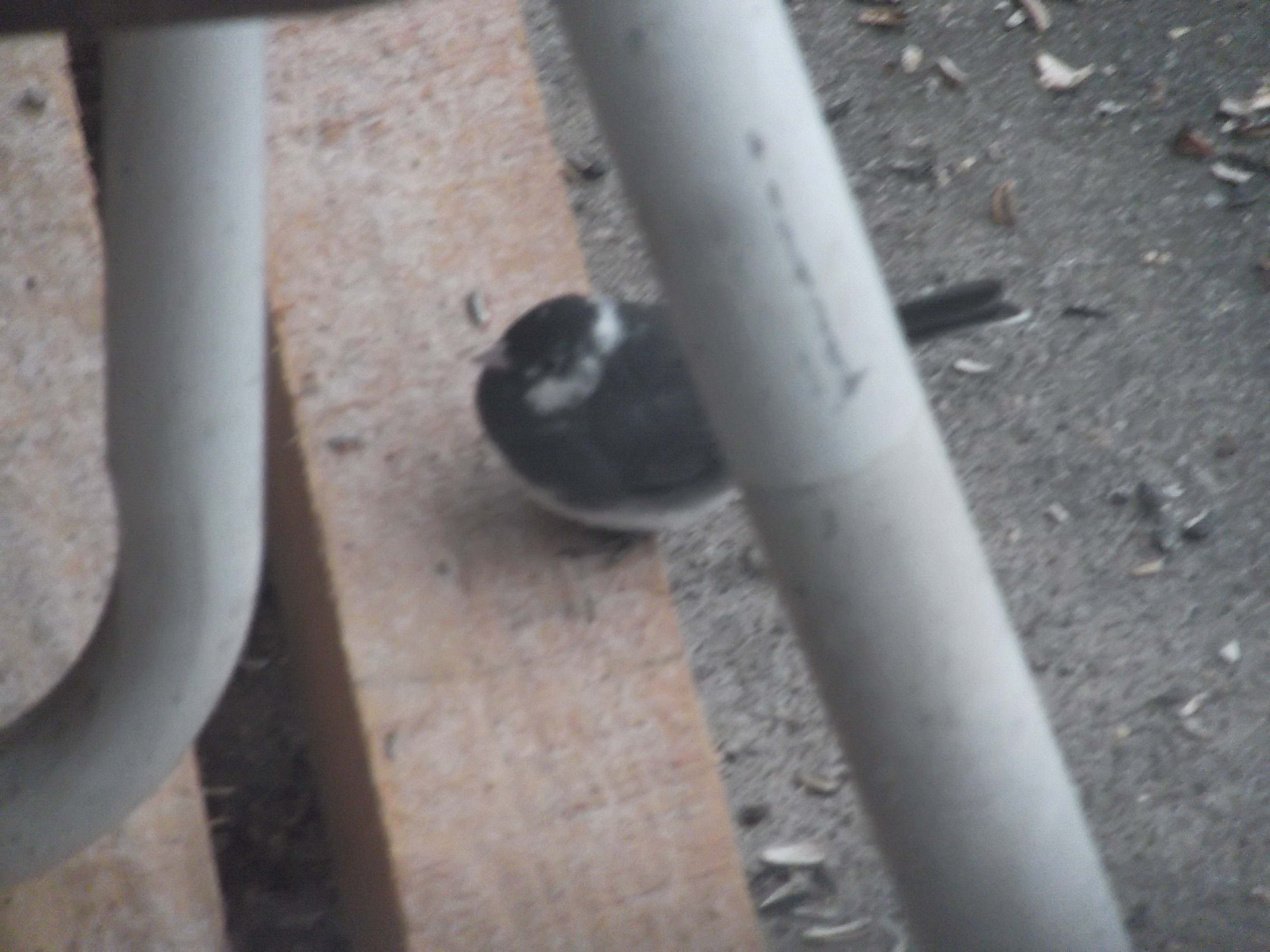 Additional Image 2