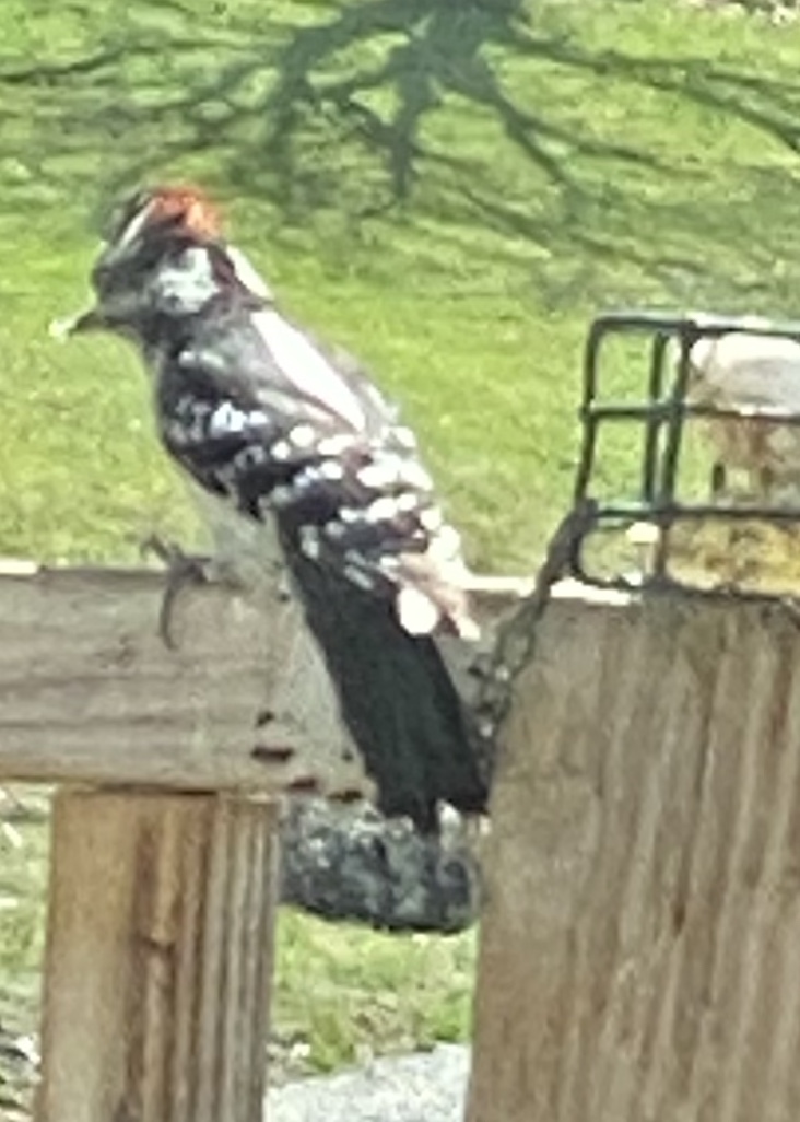 Additional Image 4
