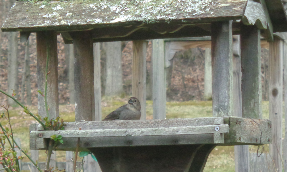Additional Image 2