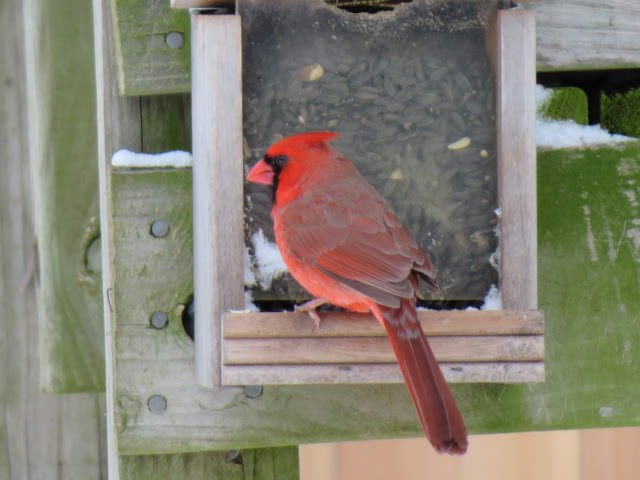 Additional Image 3