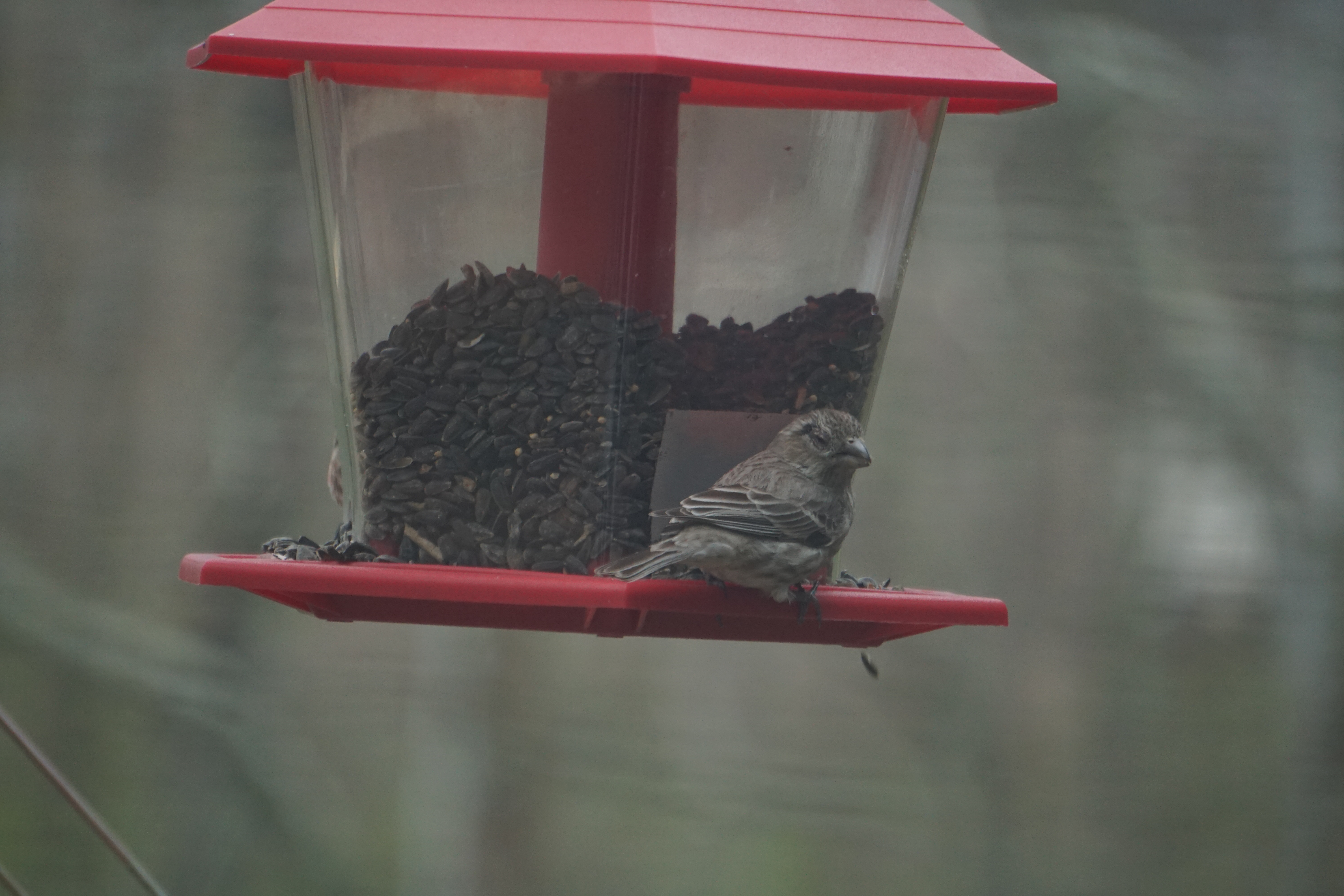 Additional Image 3