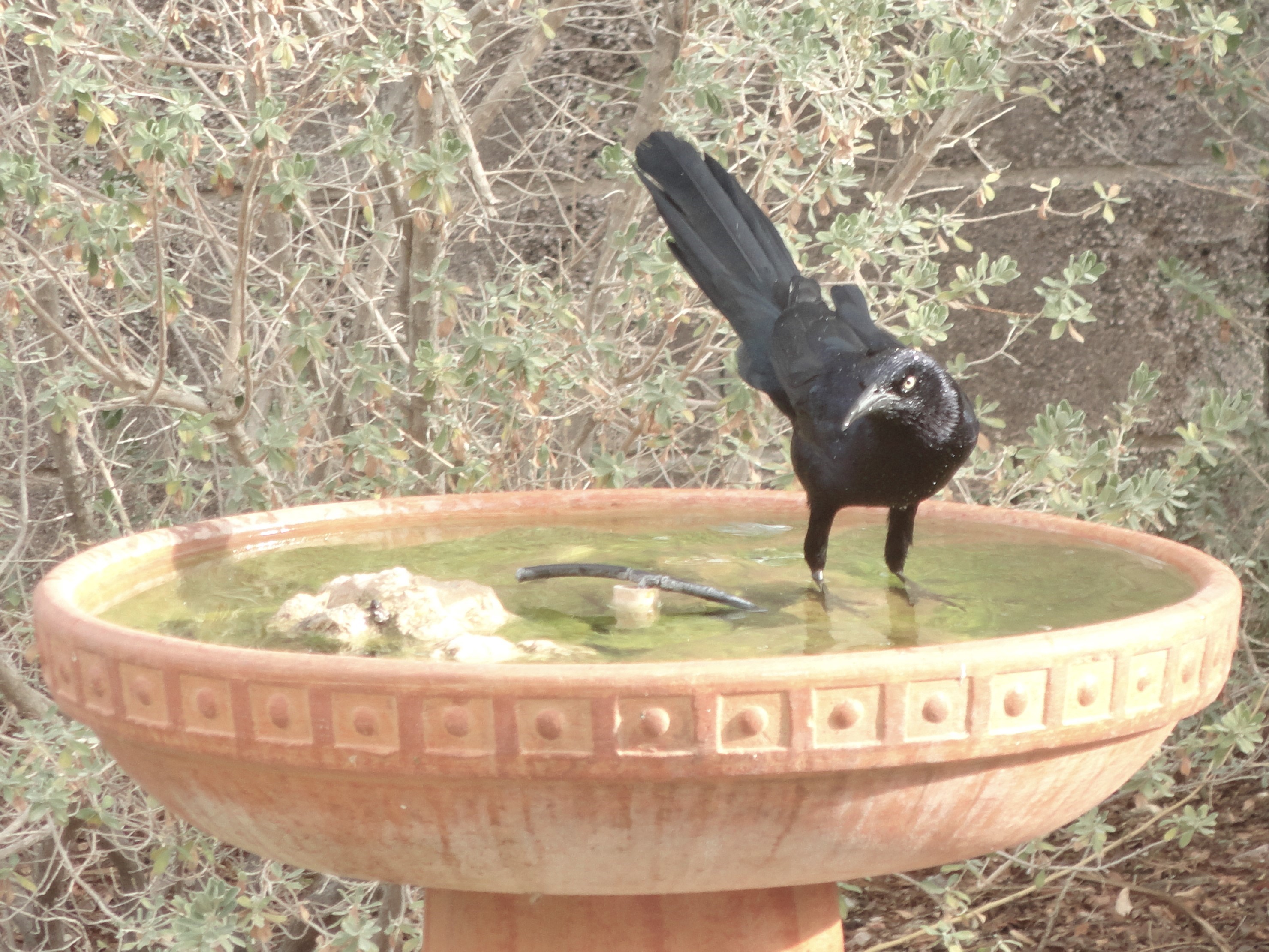 Additional Image 2