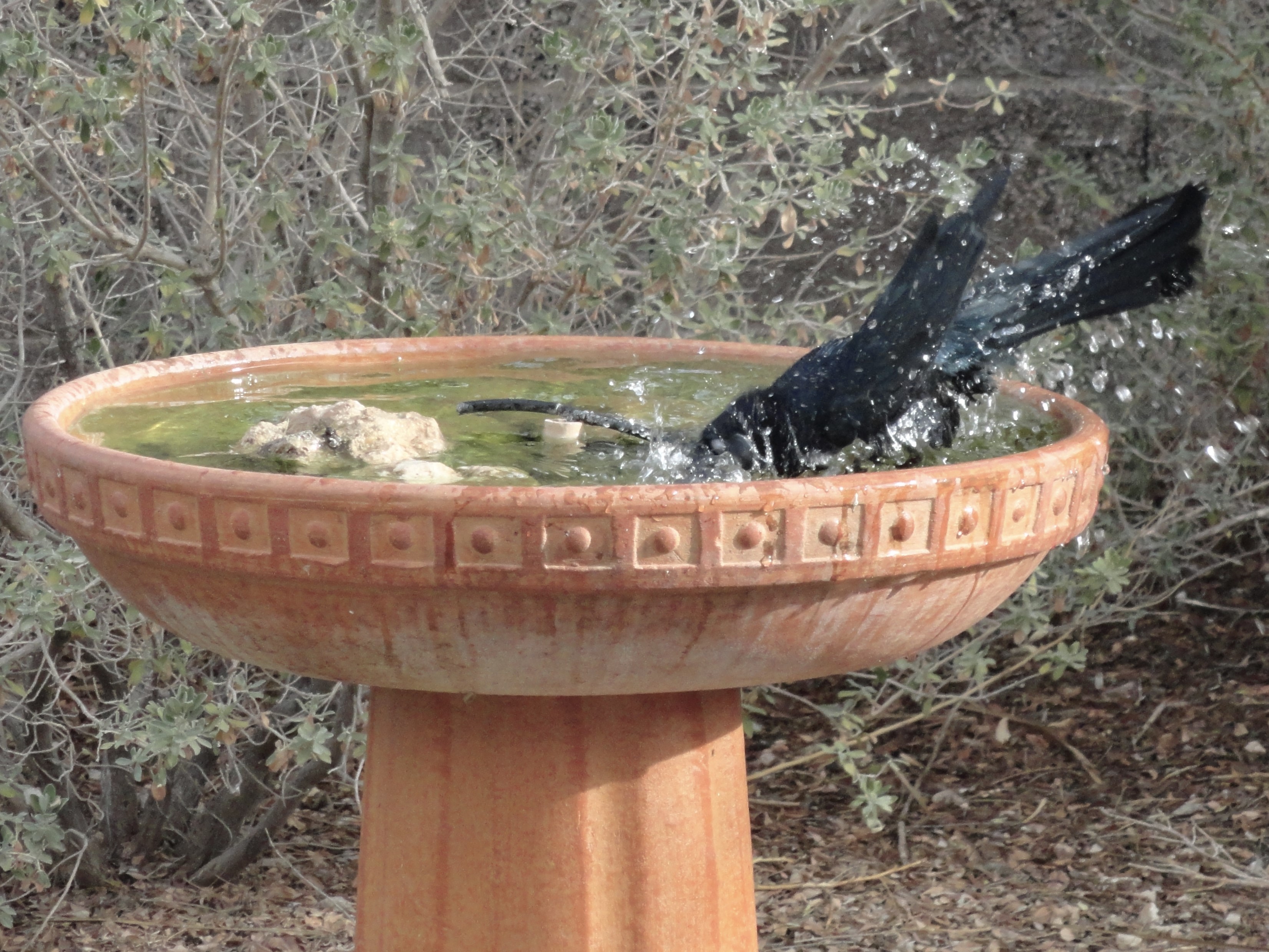 Additional Image 3