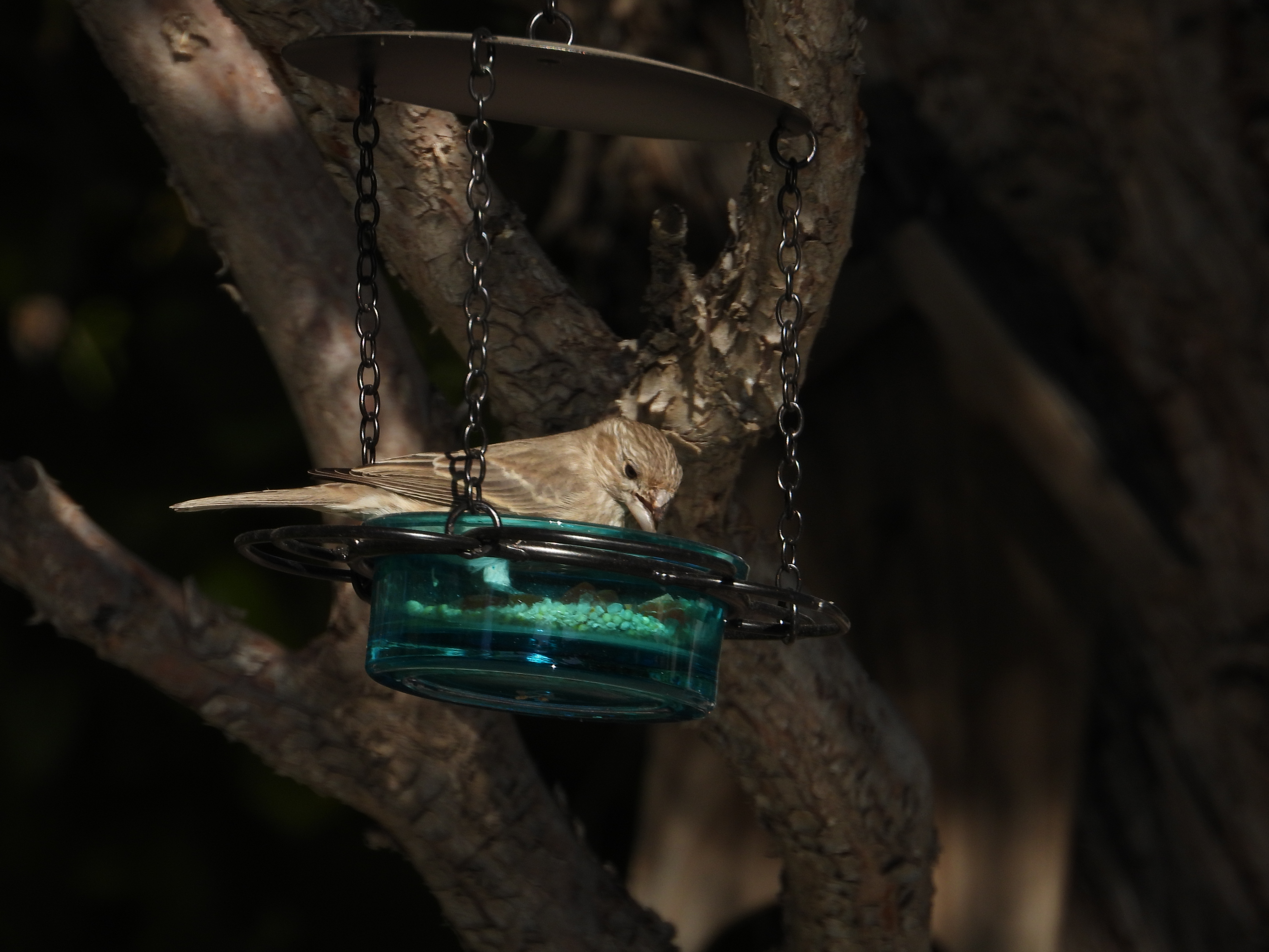 Additional Image 4