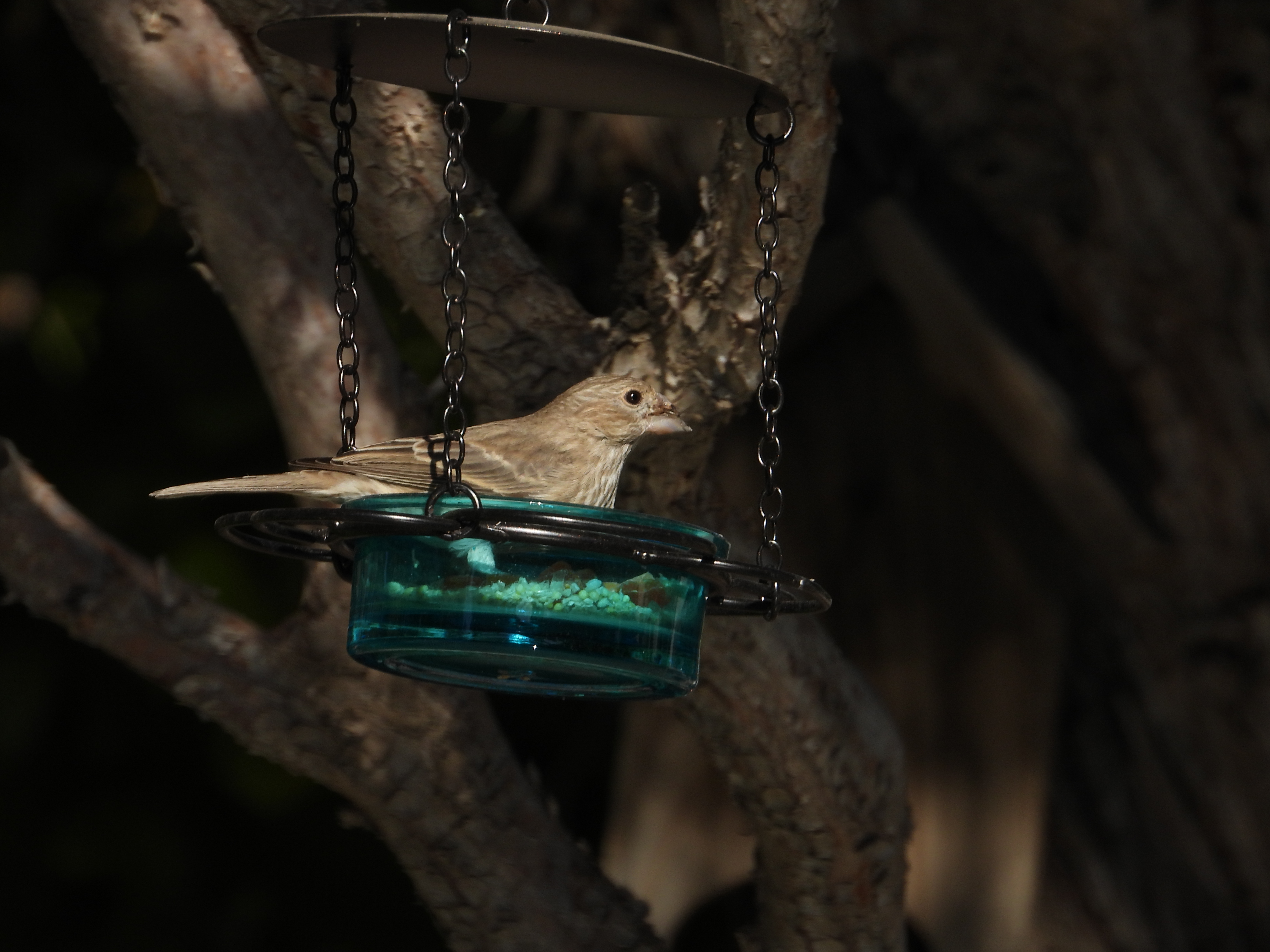 Additional Image 5