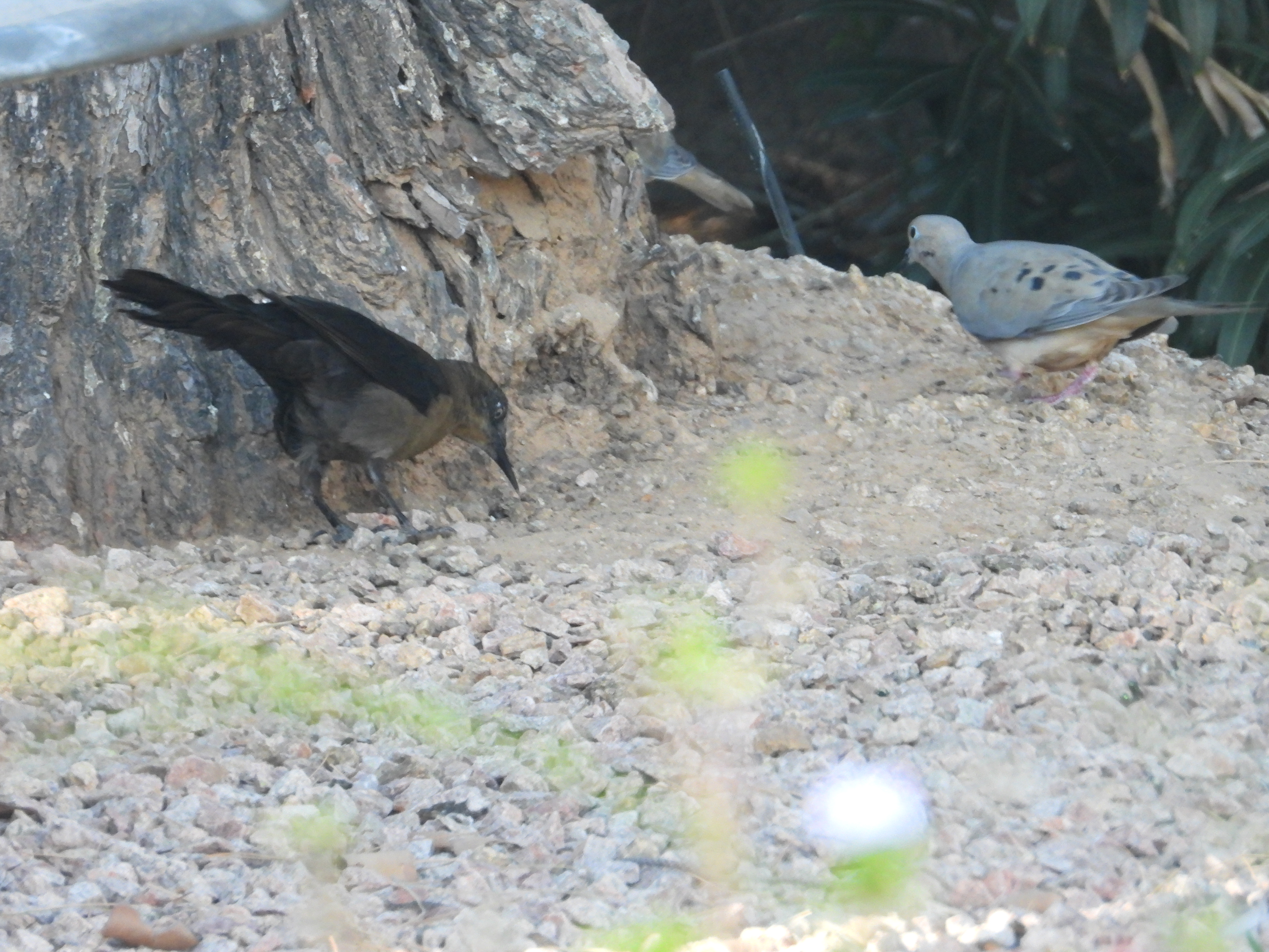 Additional Image 3