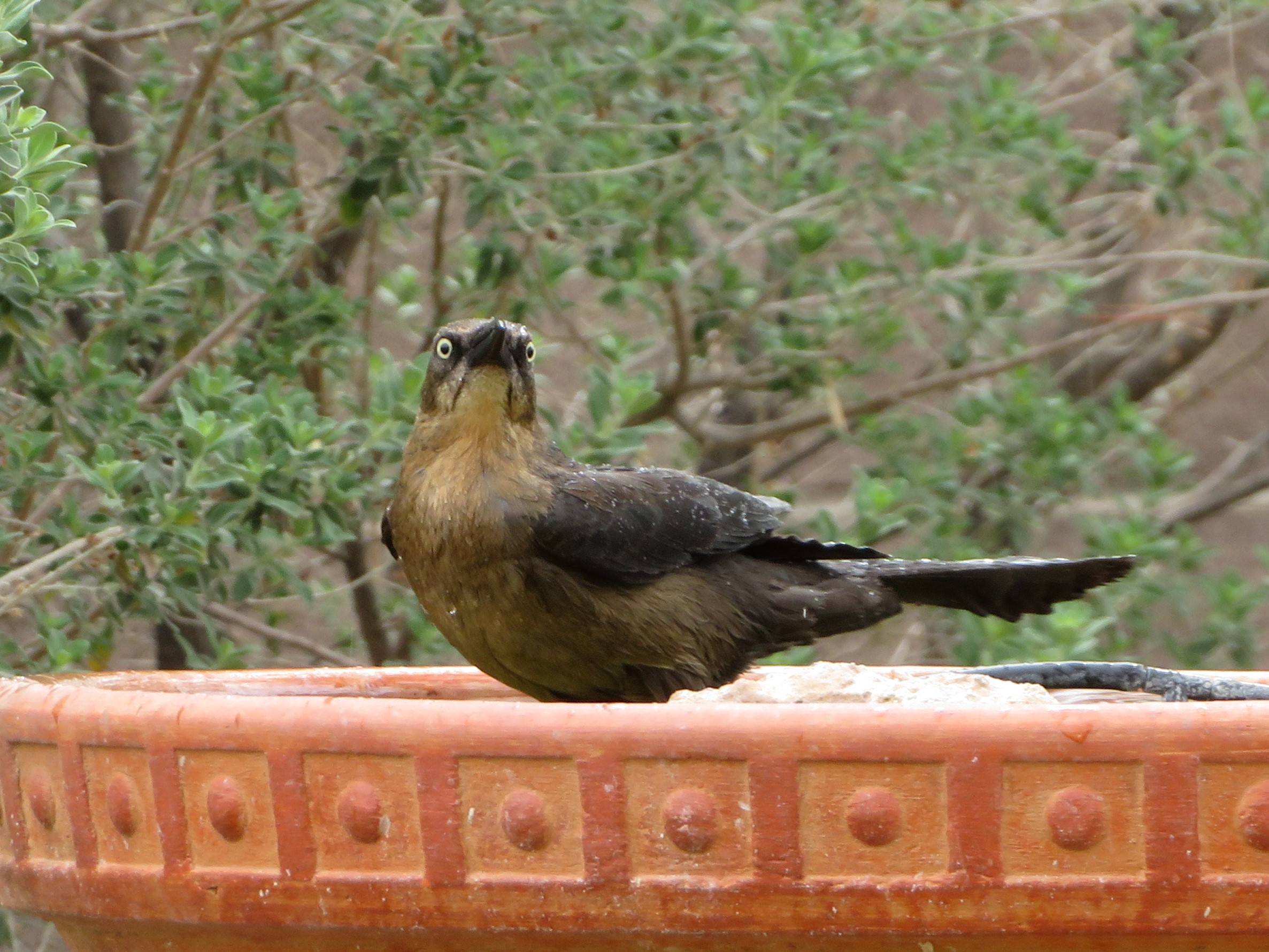 Additional Image 3