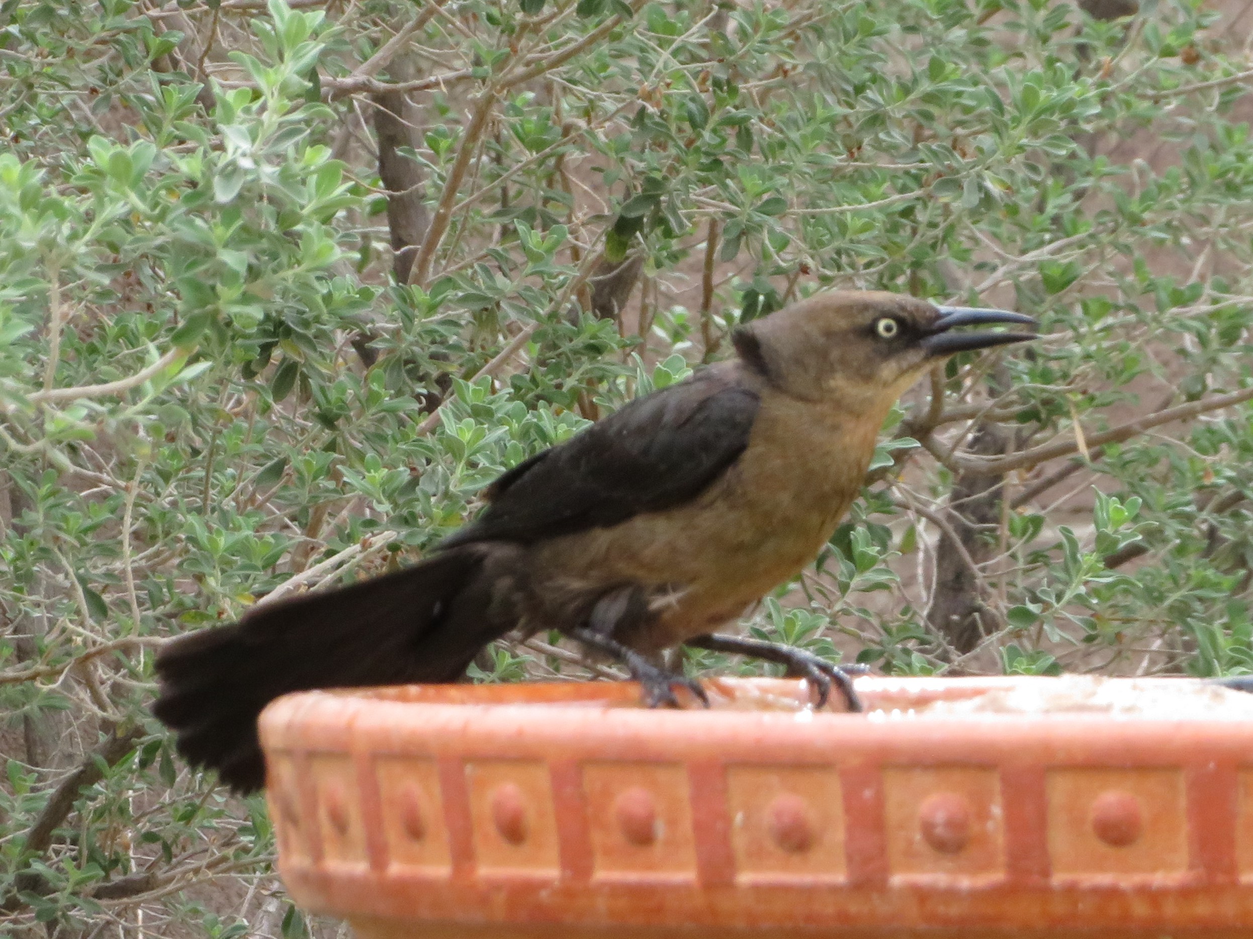 Additional Image 2