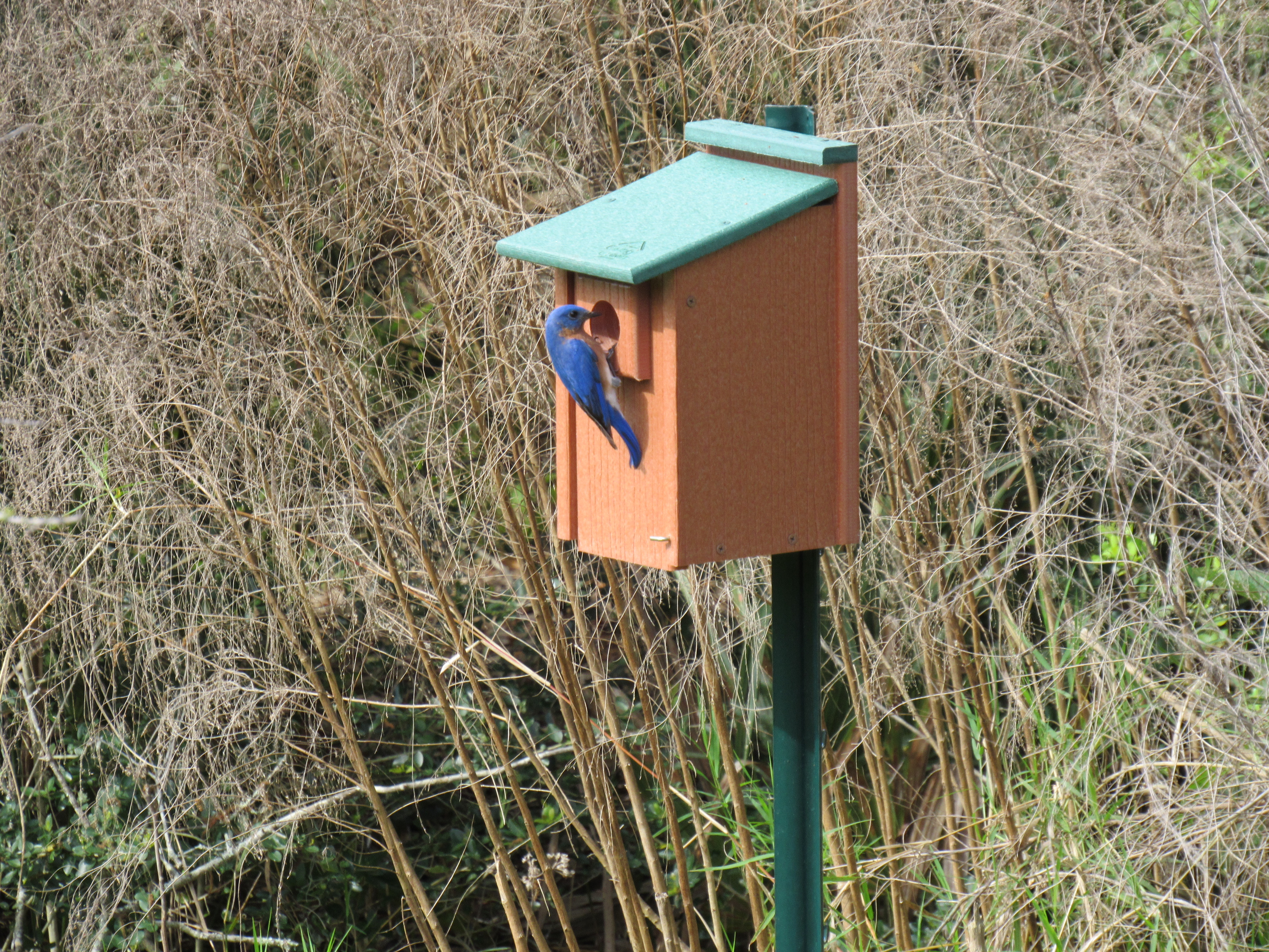 Additional Image 3