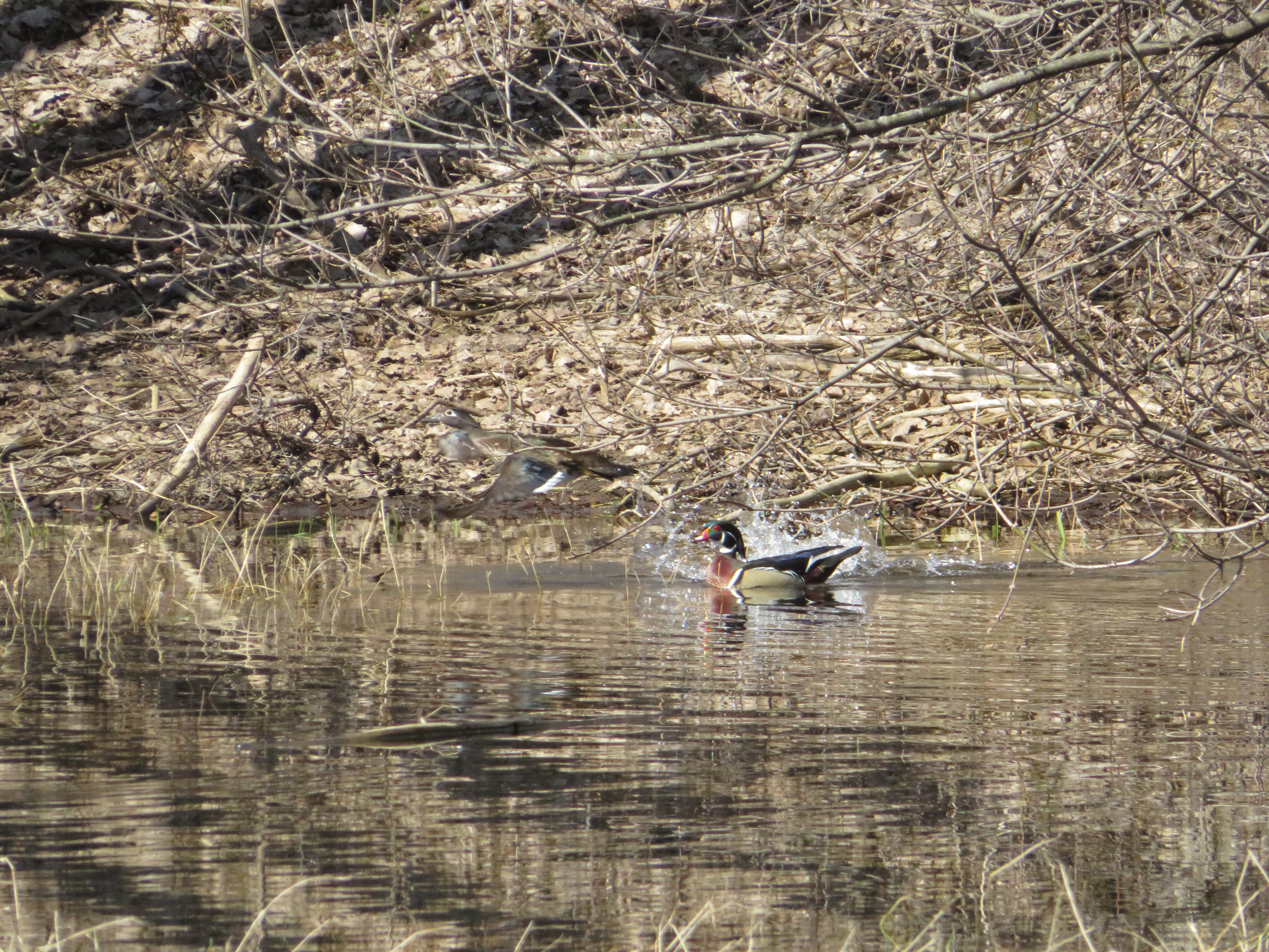 Additional Image 2