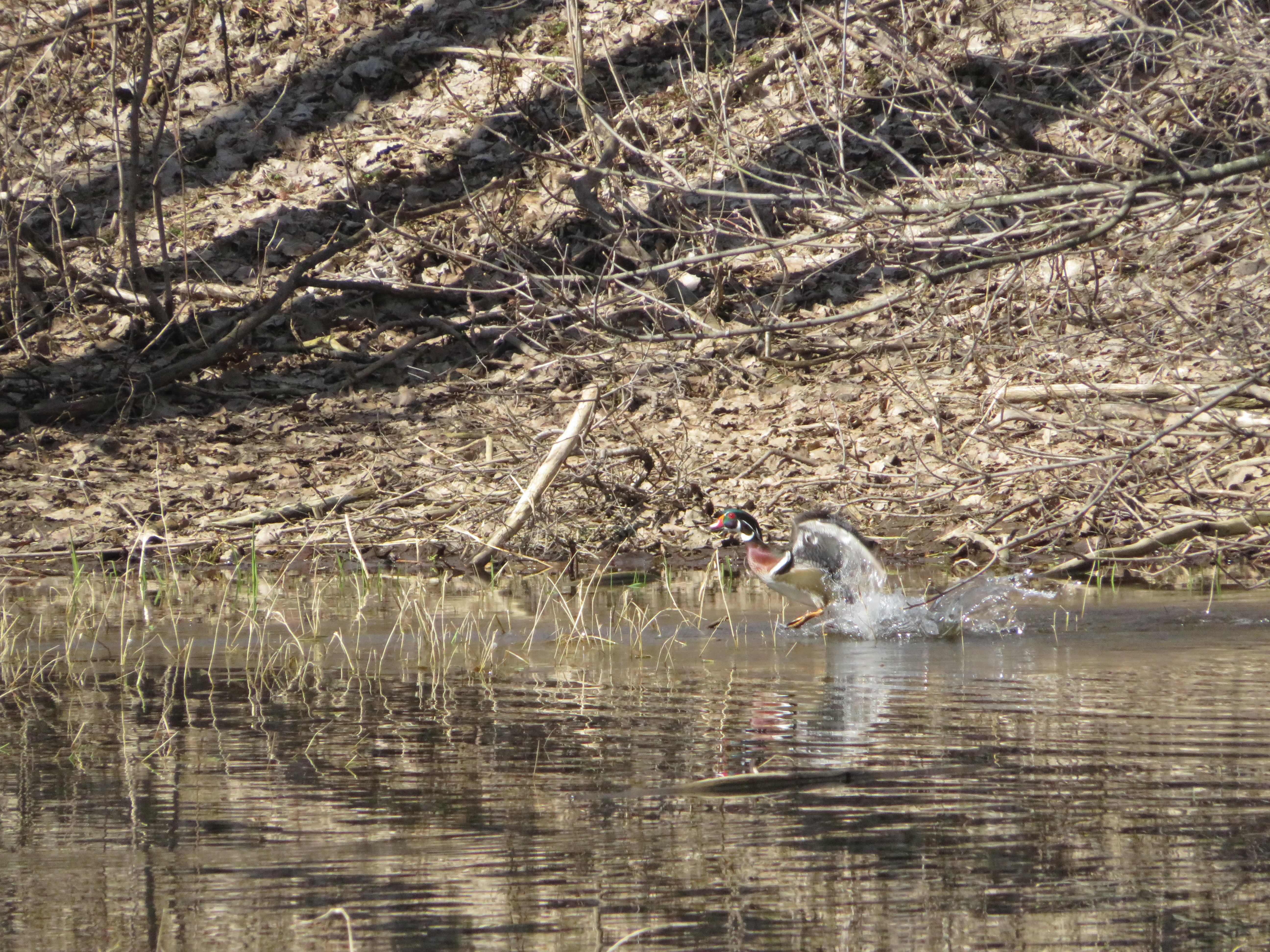 Additional Image 3