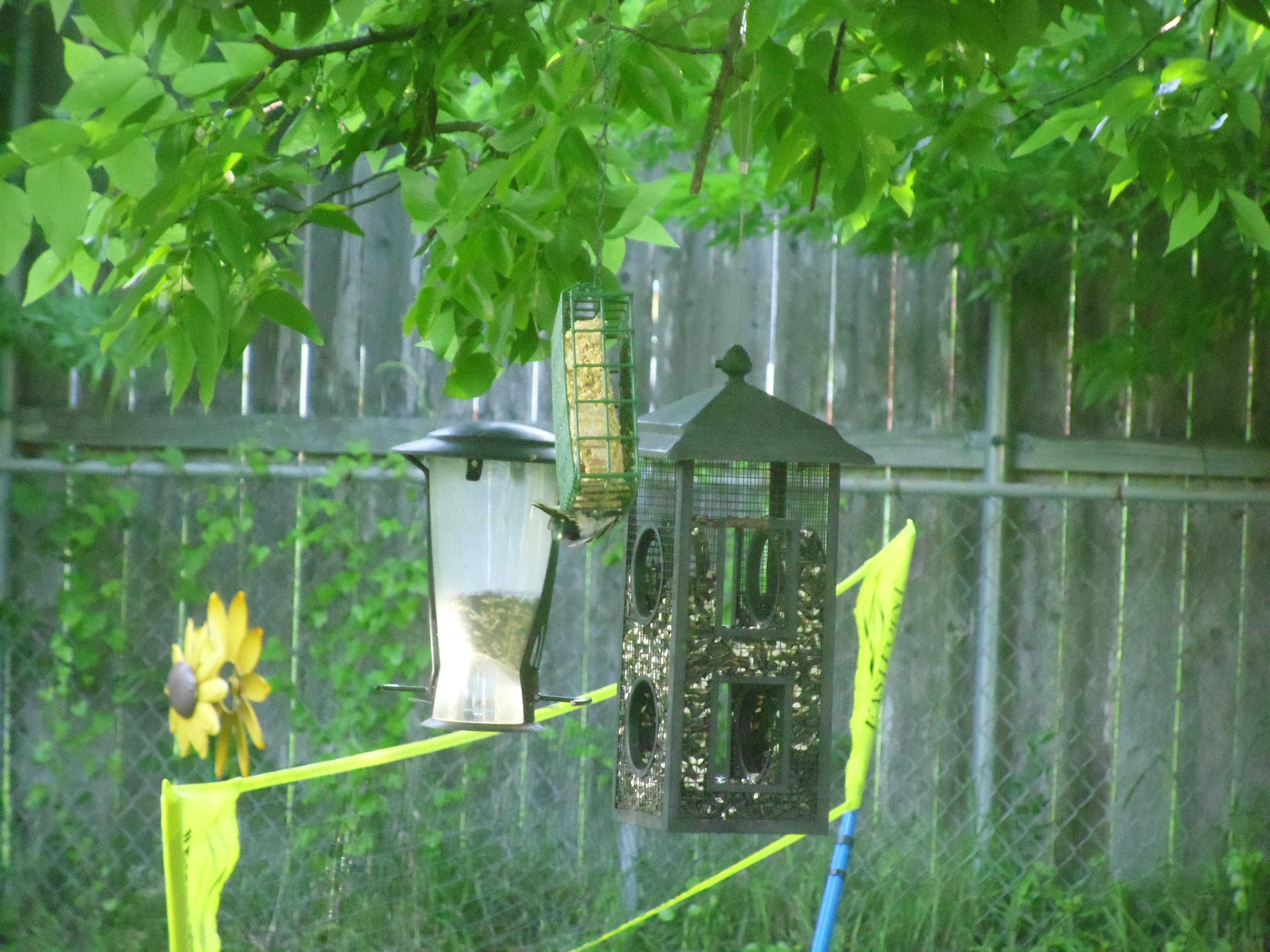 Additional Image 2