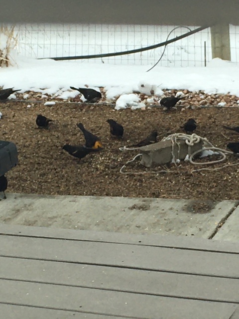 Additional Image 3