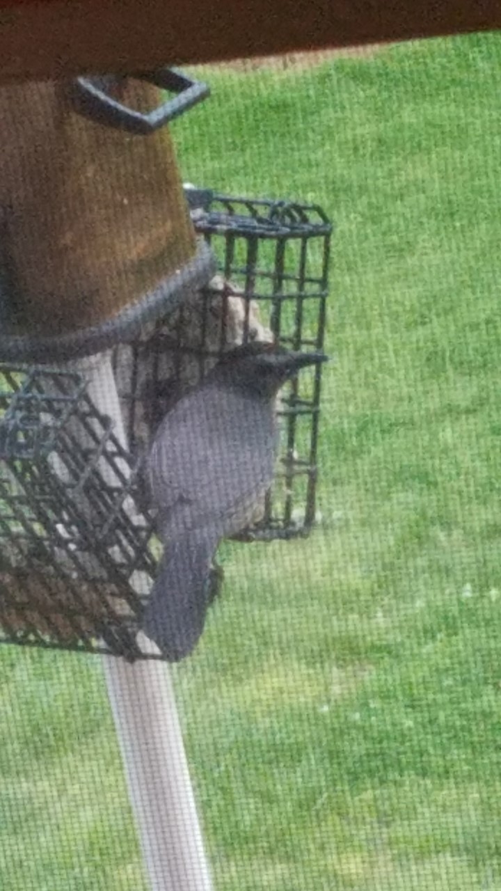 Additional Image 3