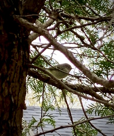 Additional Image 2