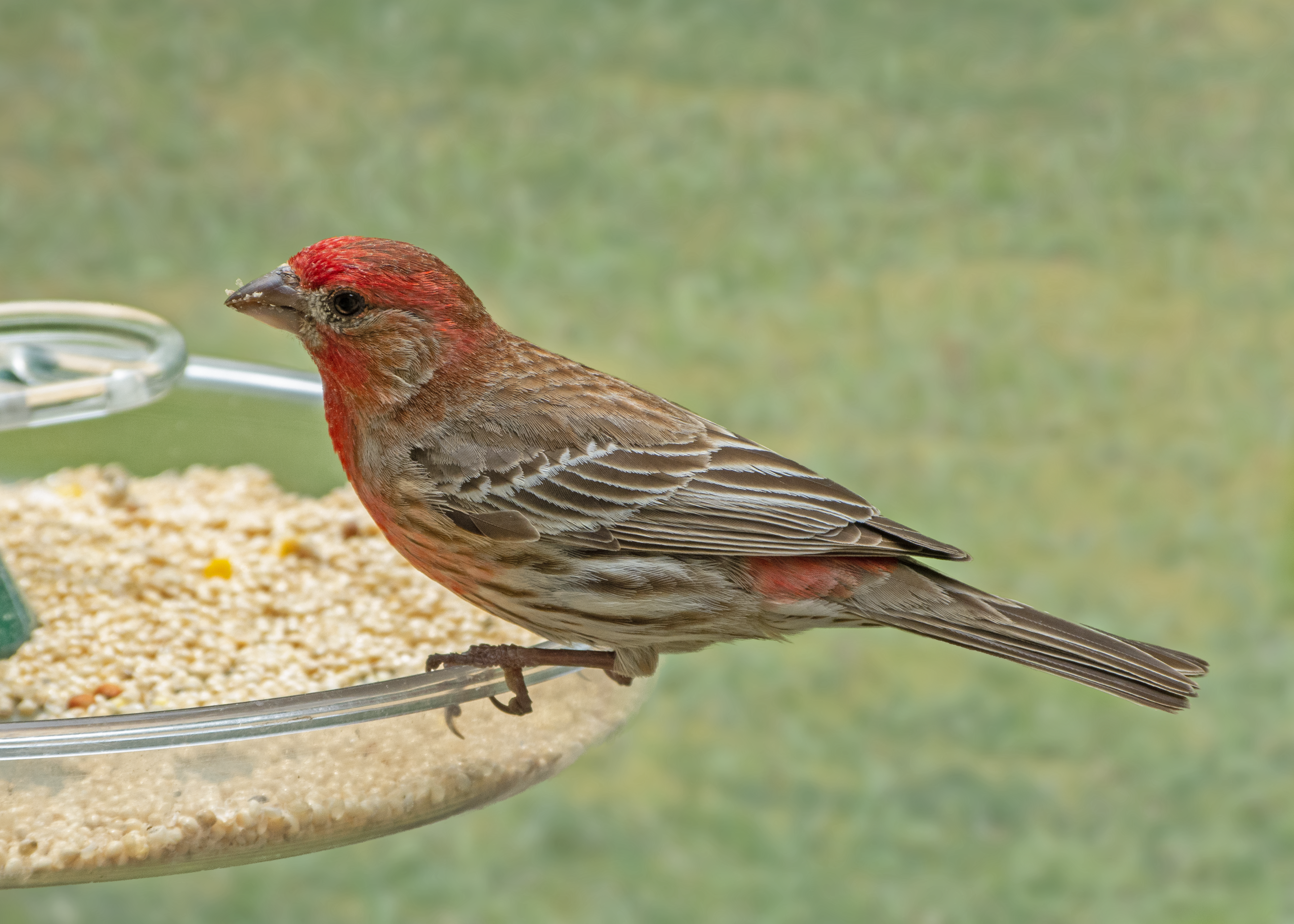Featured Image