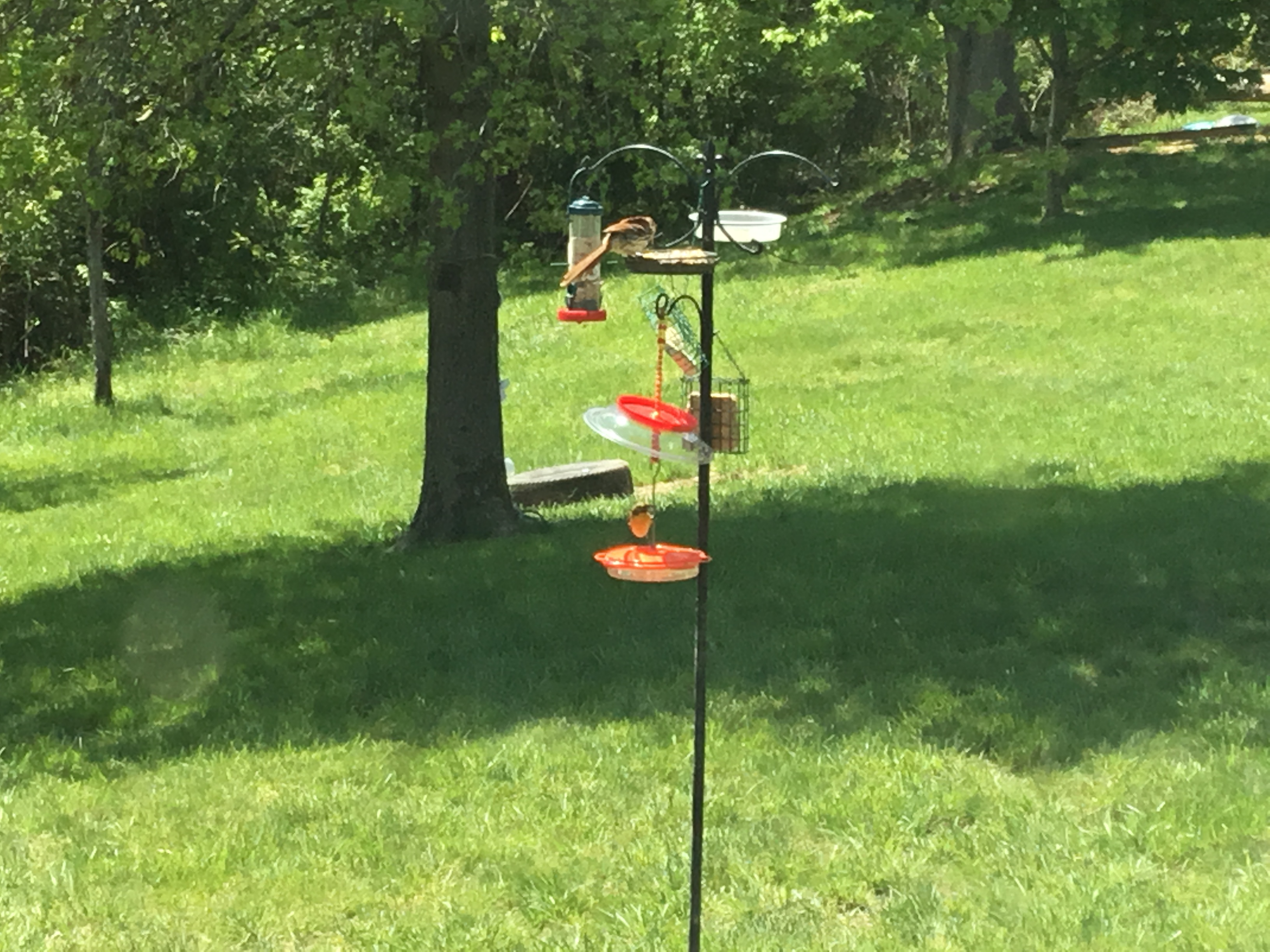 Additional Image 5