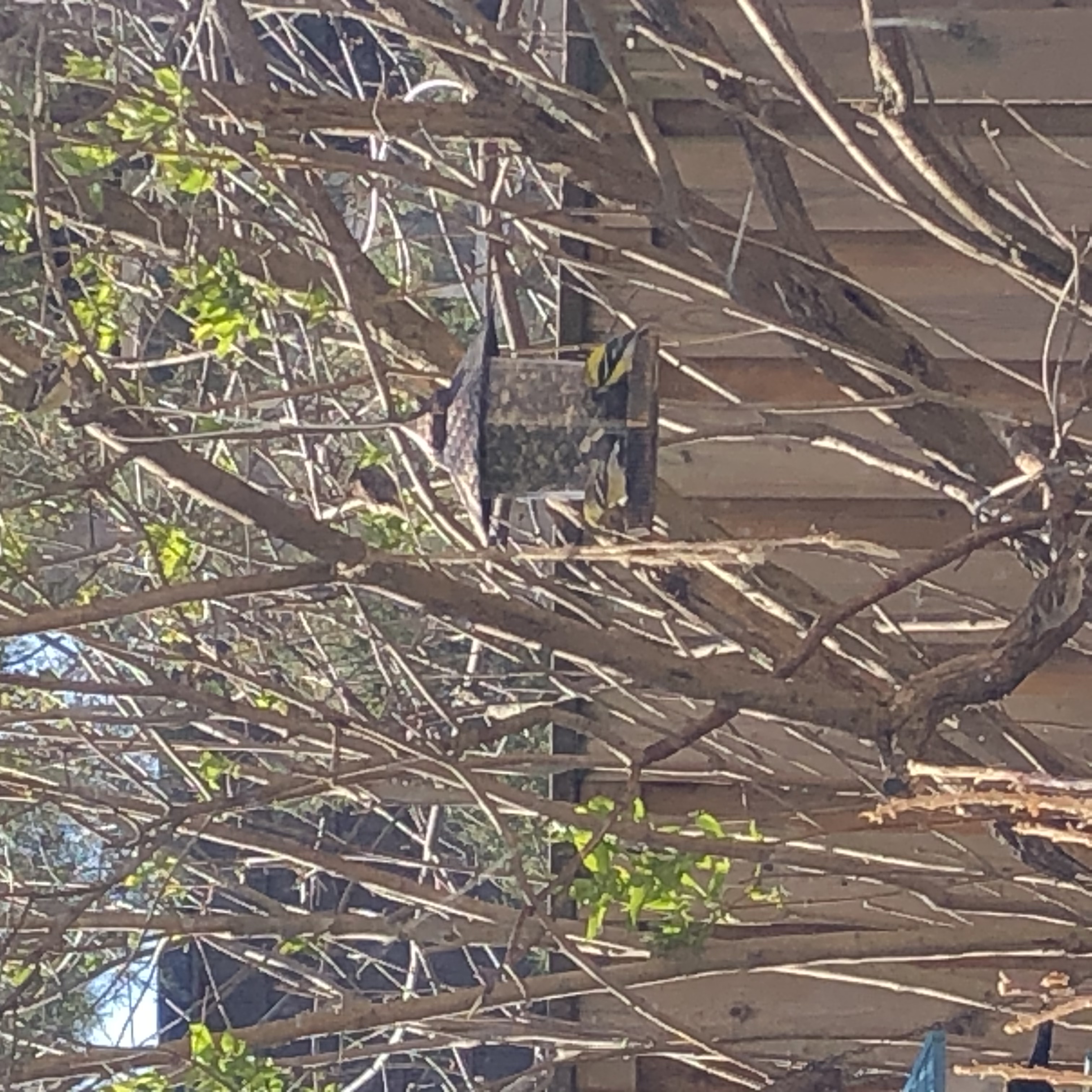 Additional Image 4