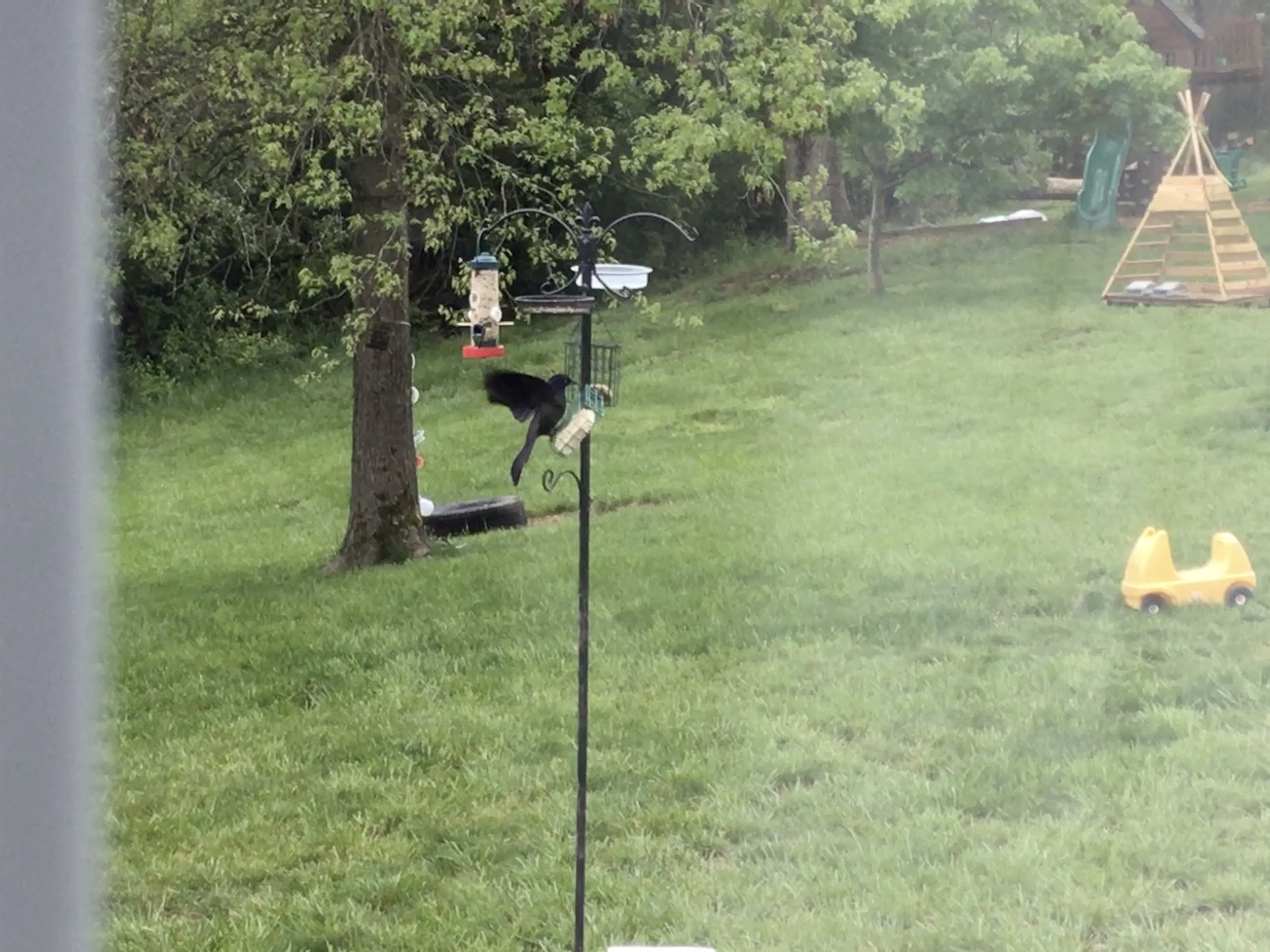 Additional Image 4
