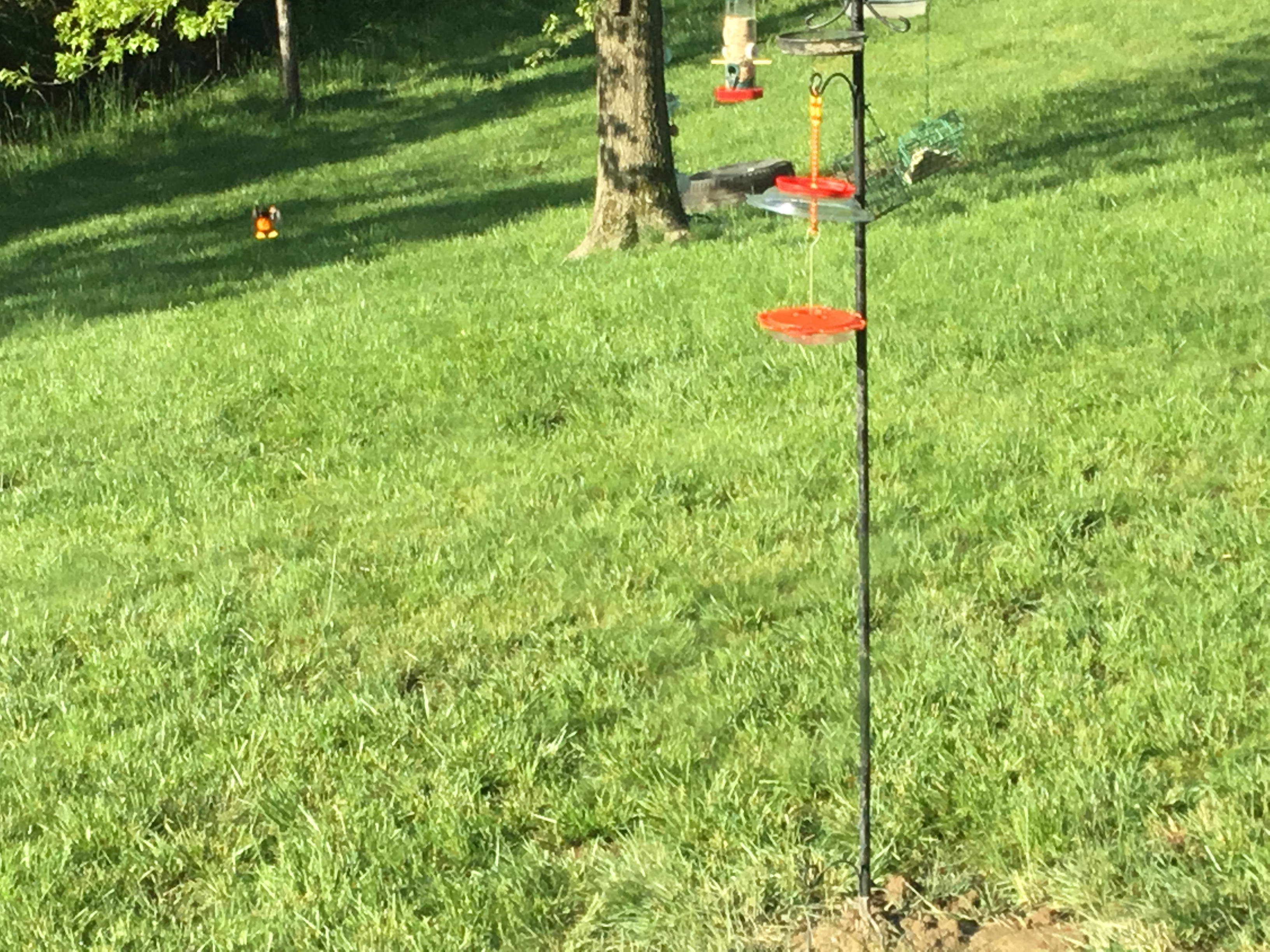 Additional Image 4