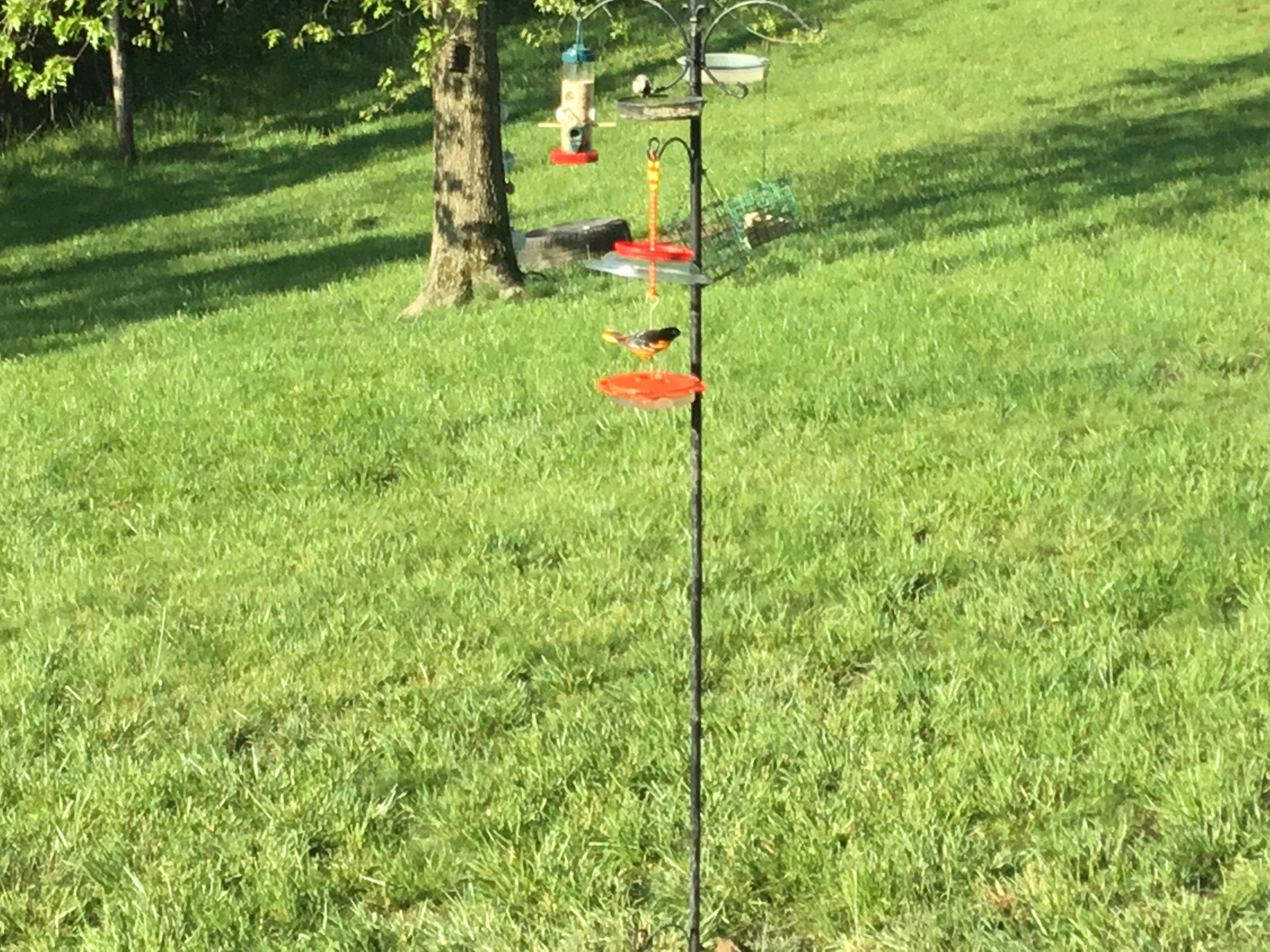 Additional Image 3