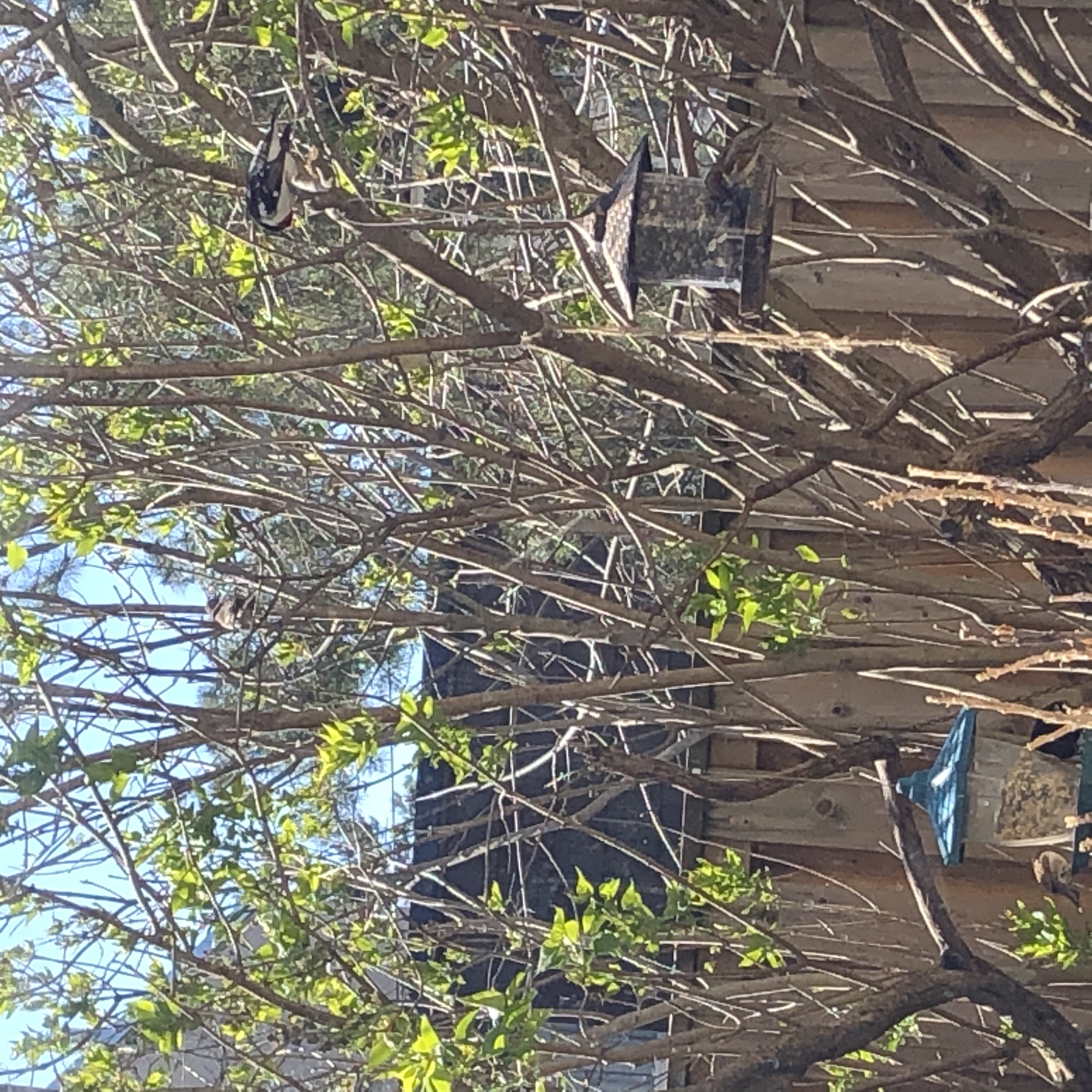 Additional Image 3