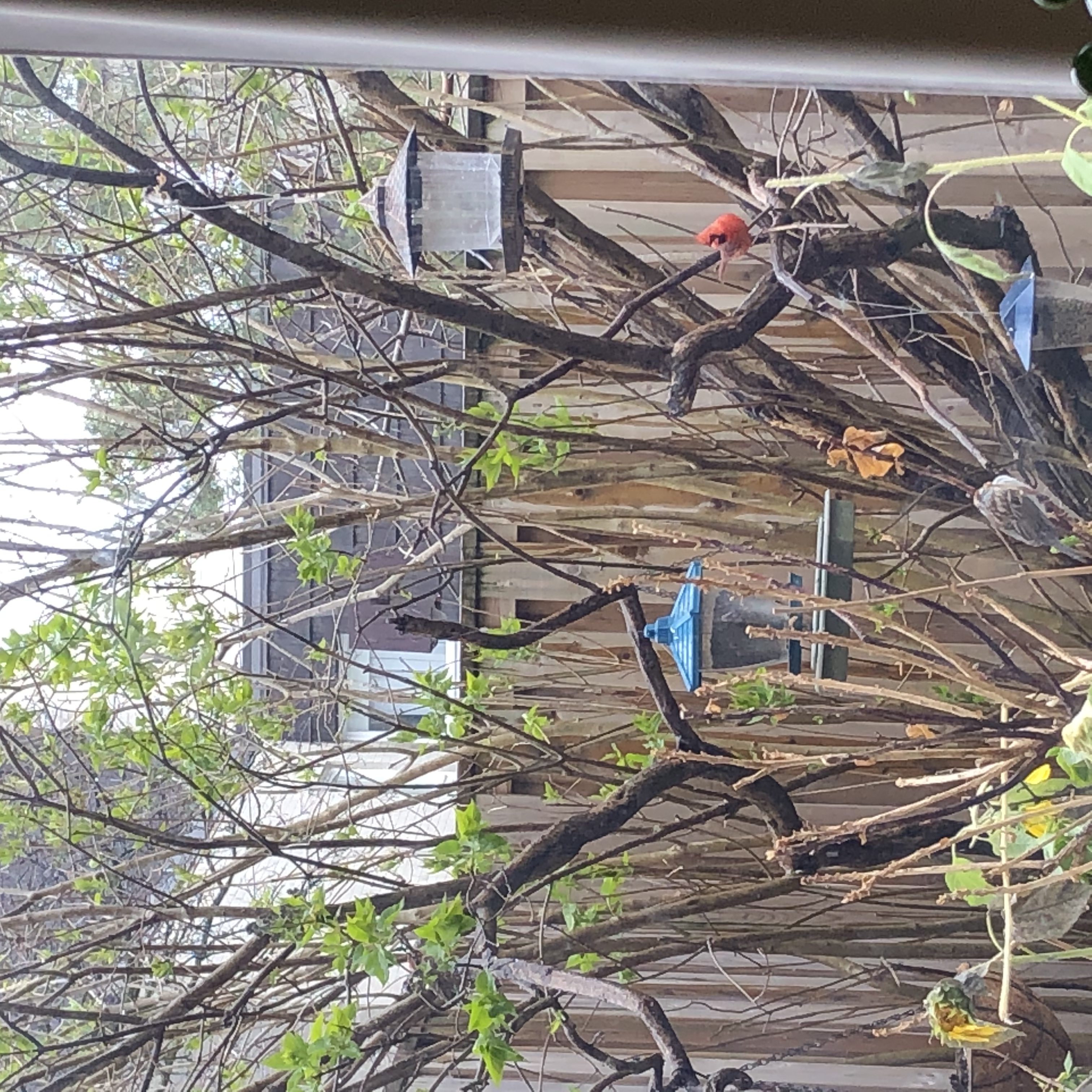 Additional Image 5