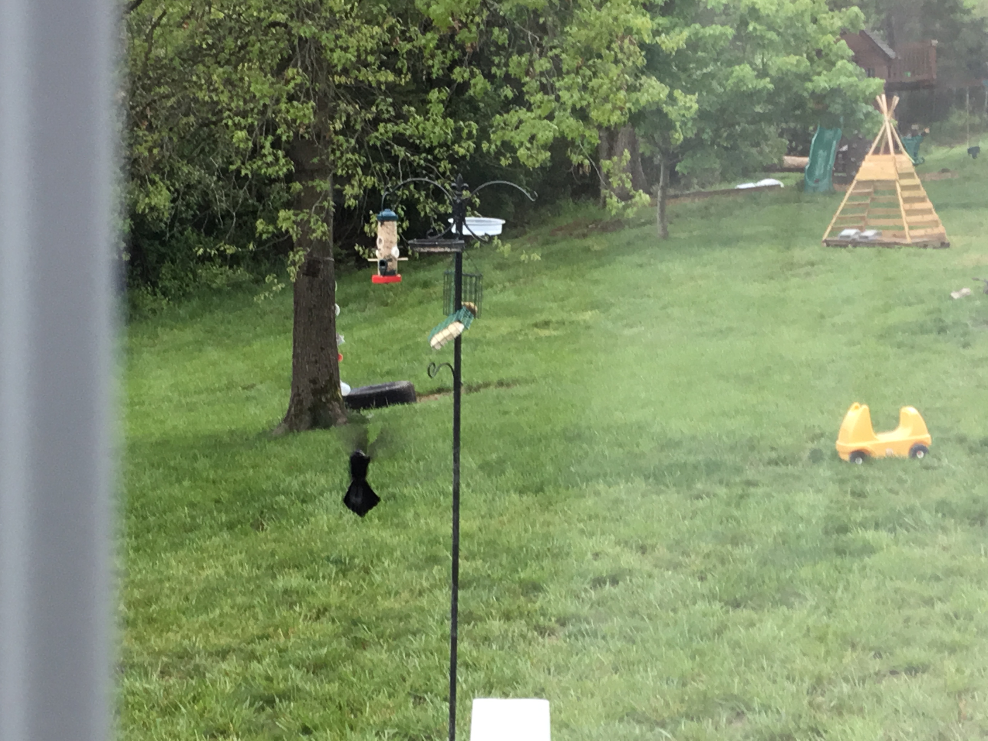 Additional Image 3