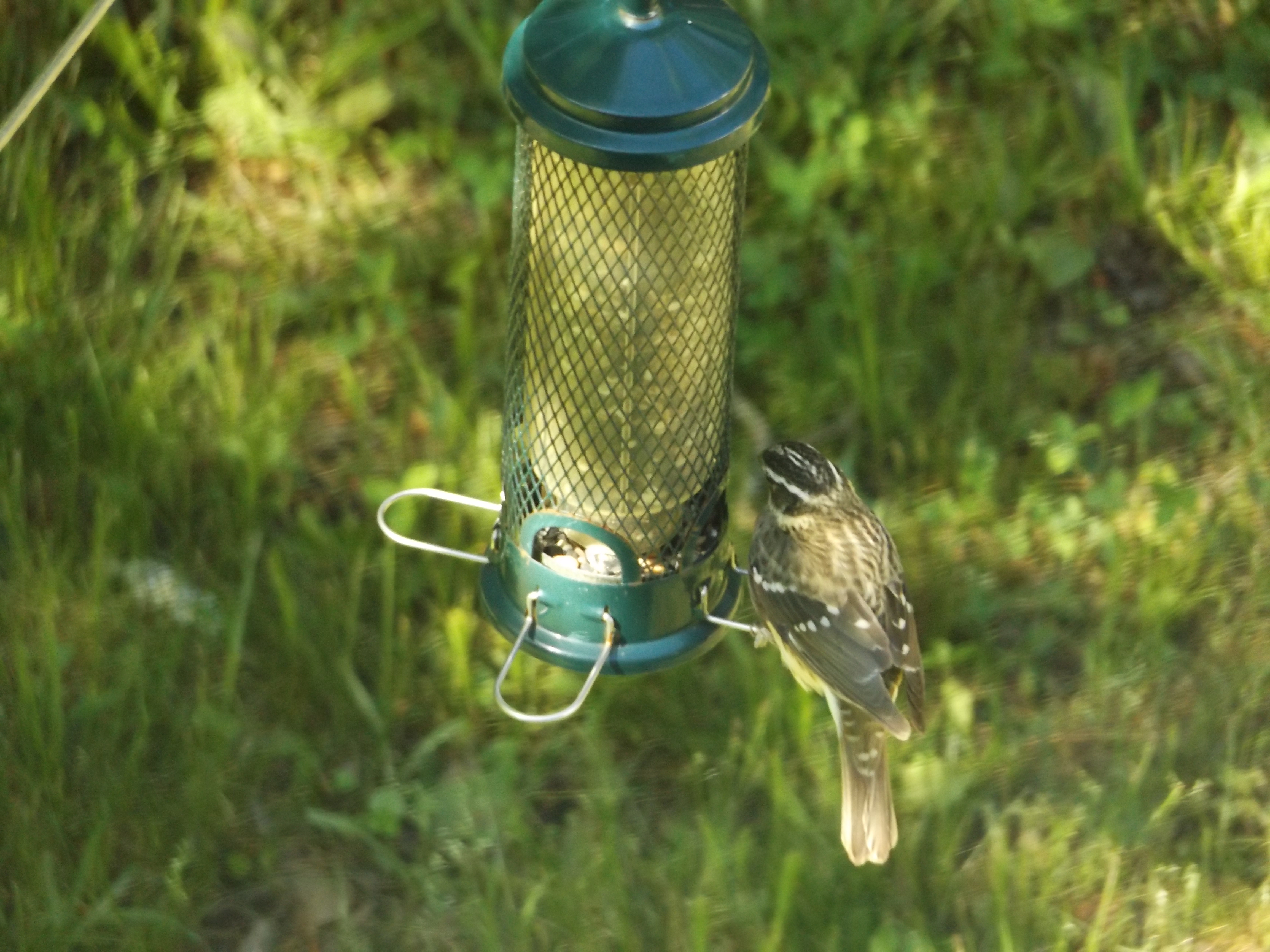 Additional Image 2